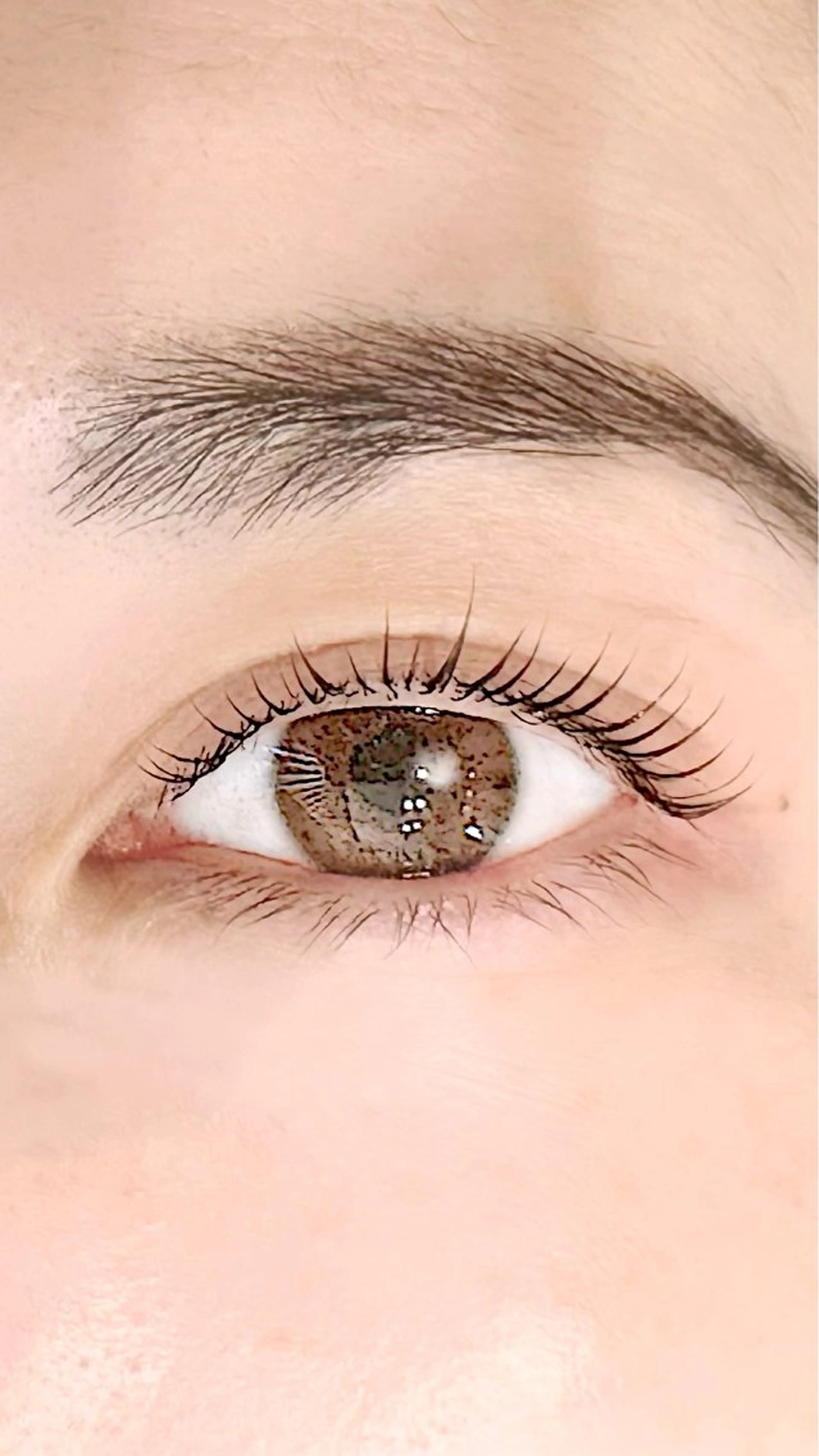 マツエク・マツパ まつ毛・眉/ 練習＆モニター専用のマツエク・マツパデザイン