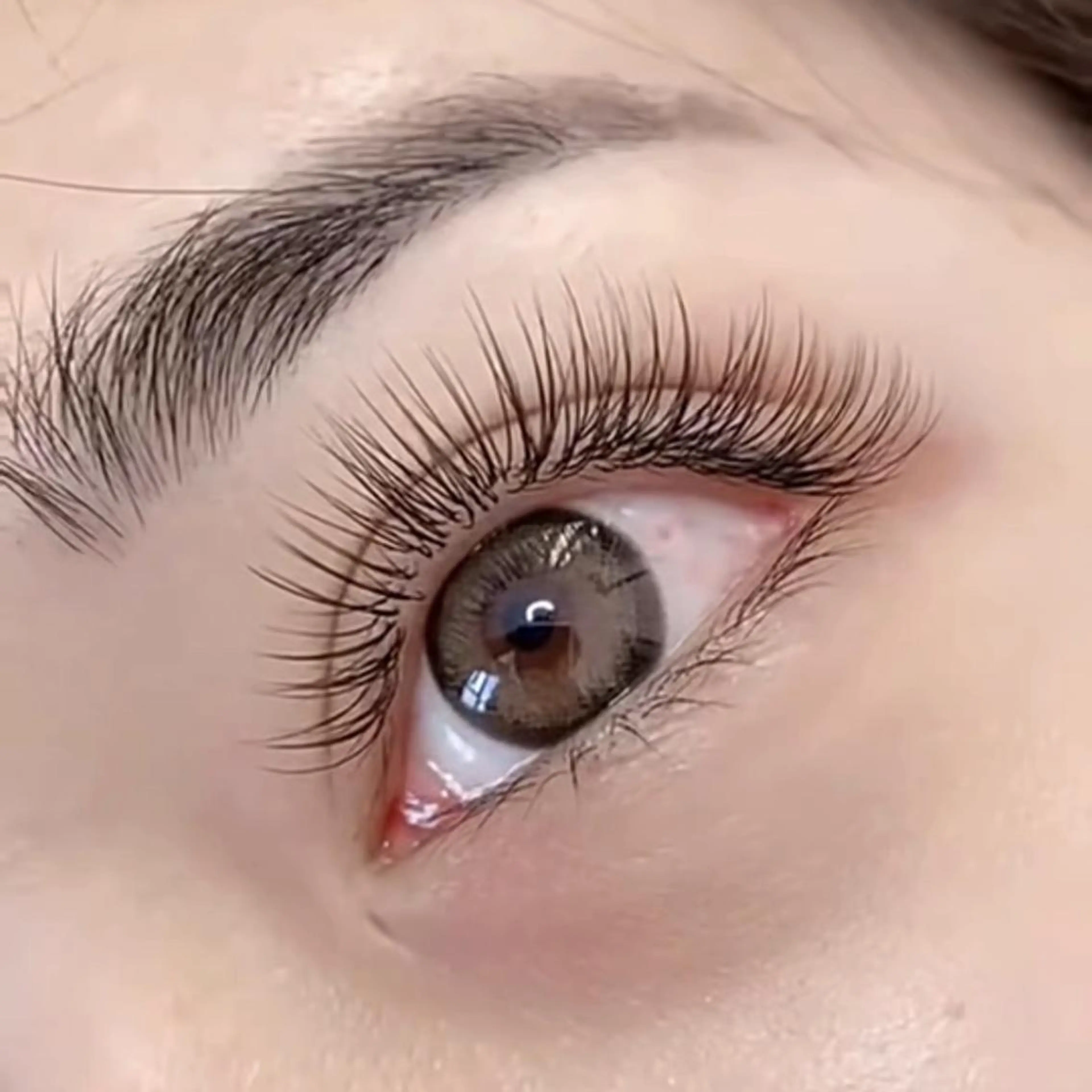 マツエク・マツパ Cute B e au t yのマツエク・マツパデザイン