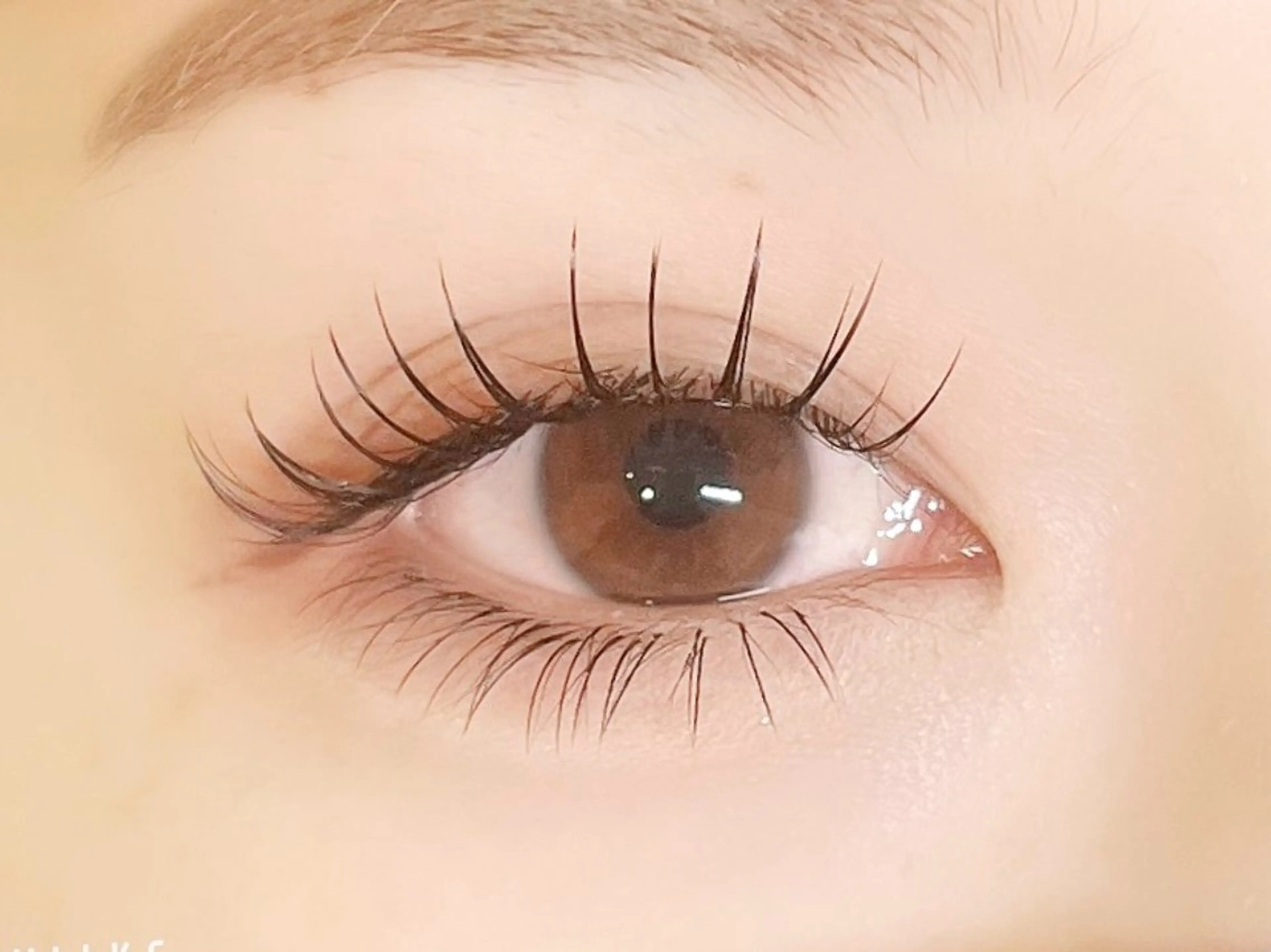 マツエク・マツパ バインドロック 束感まつ毛 フラットラッシュ パリジェンヌラッシュリフト まつげパーマ マツエク eyelash salon_Luluのマツエク・マツパデザイン