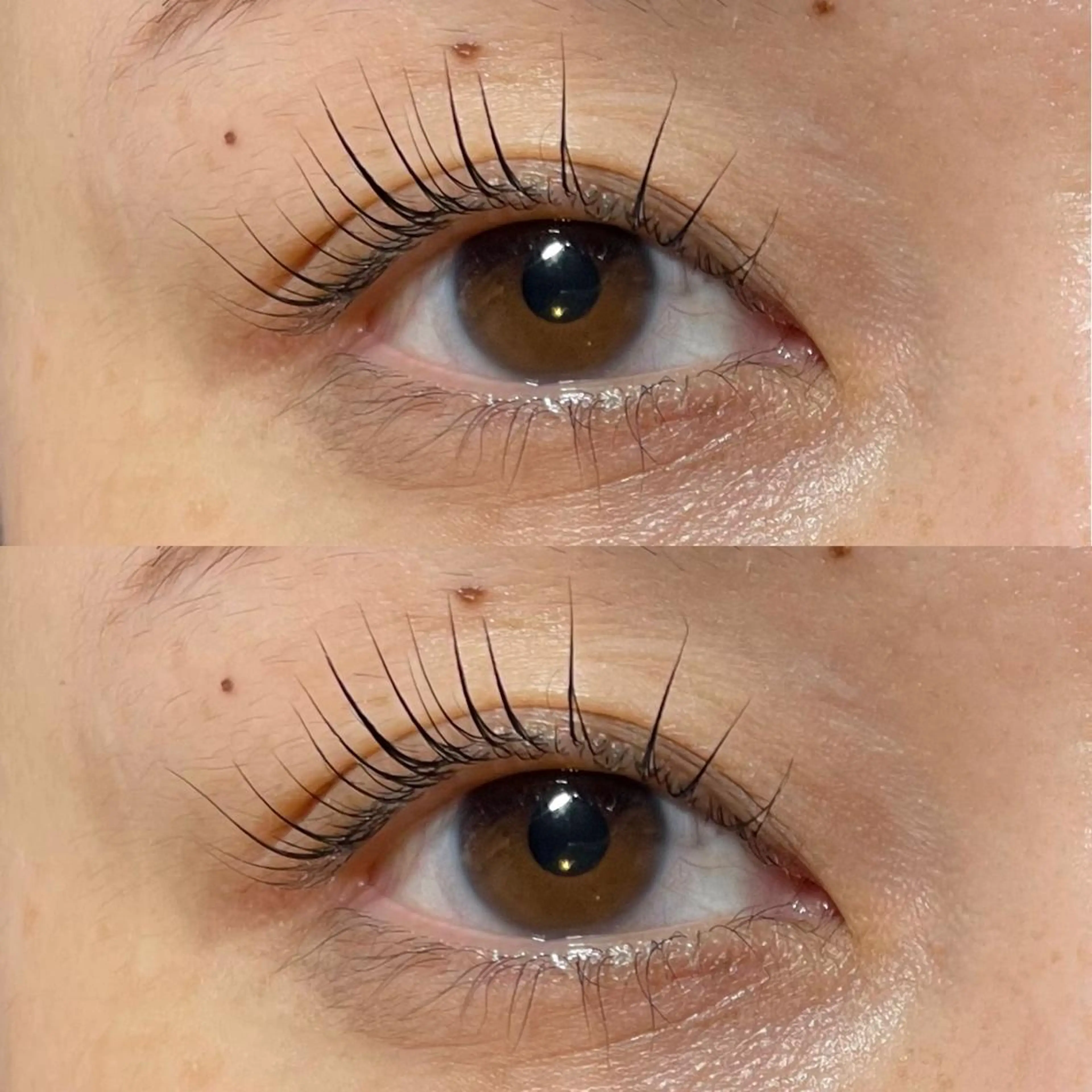 マツエク・マツパ パリジェンヌラッシュリフト マツパ scarlet asahiのマツエク・マツパデザイン