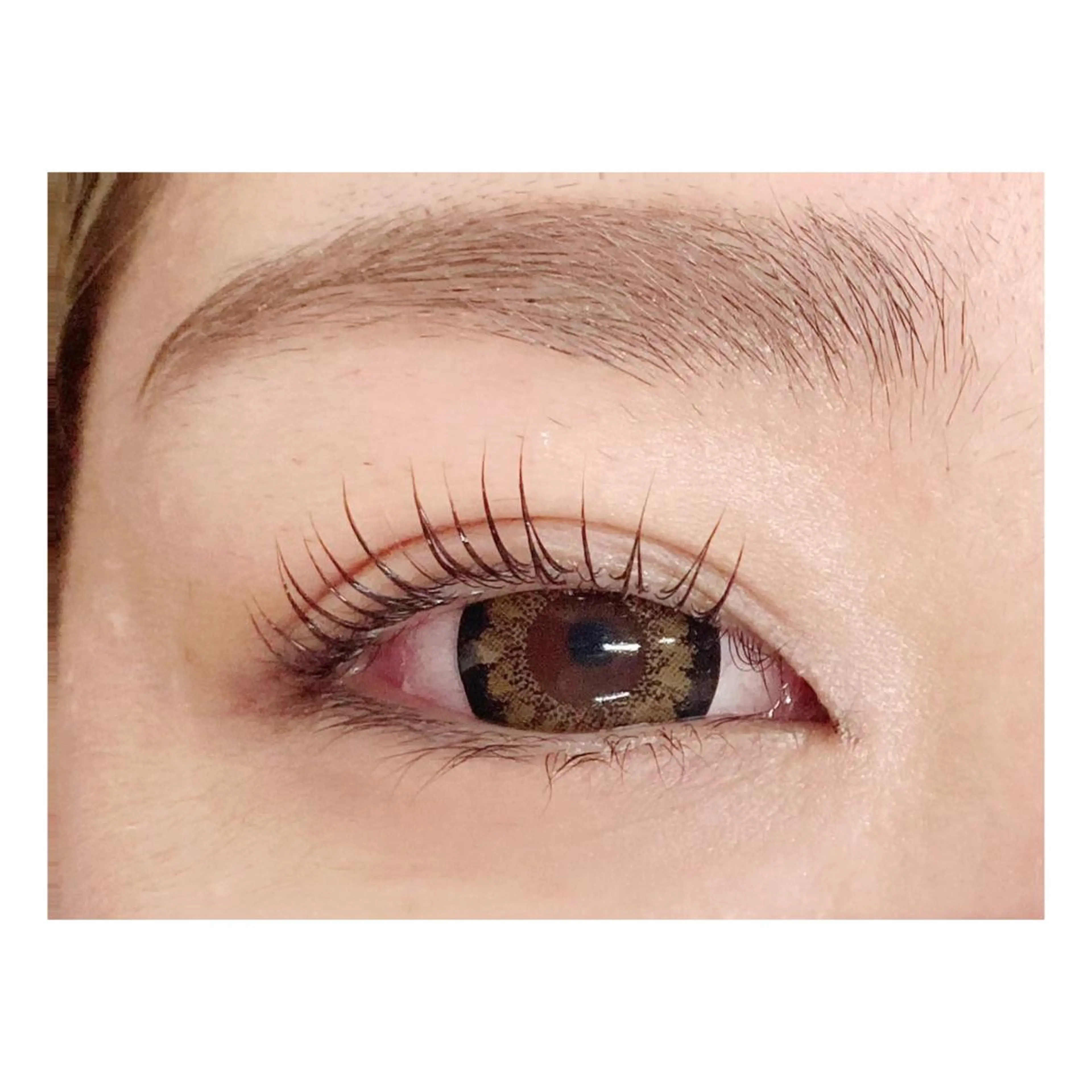 マツエク・マツパ 🩶Bianca IHARA🩶の眉毛・アイブロウイメージ