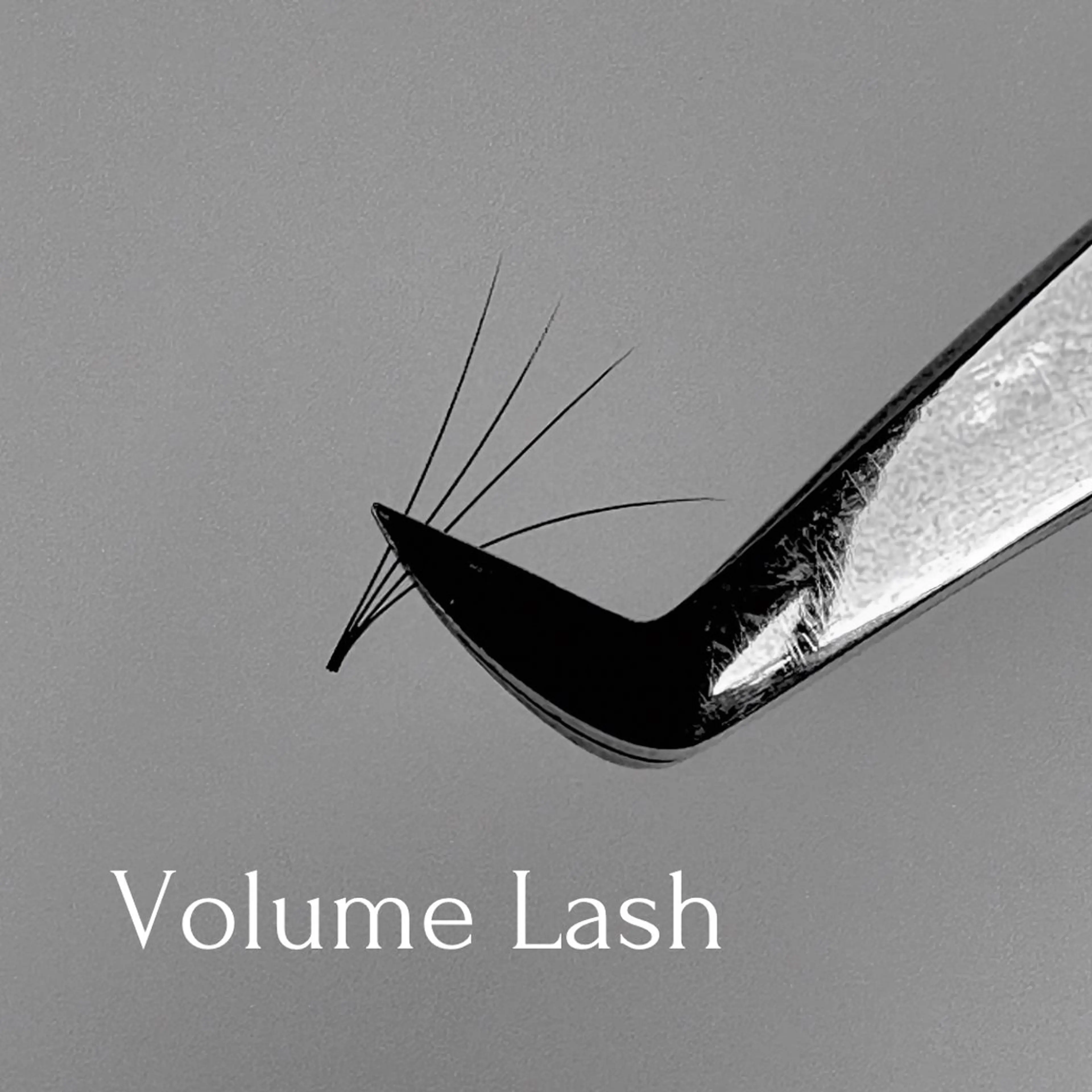 ［オフ無料］【4STEP CARE】＋VOLUME LASH【80束】#ボリュームラッシュの写真
