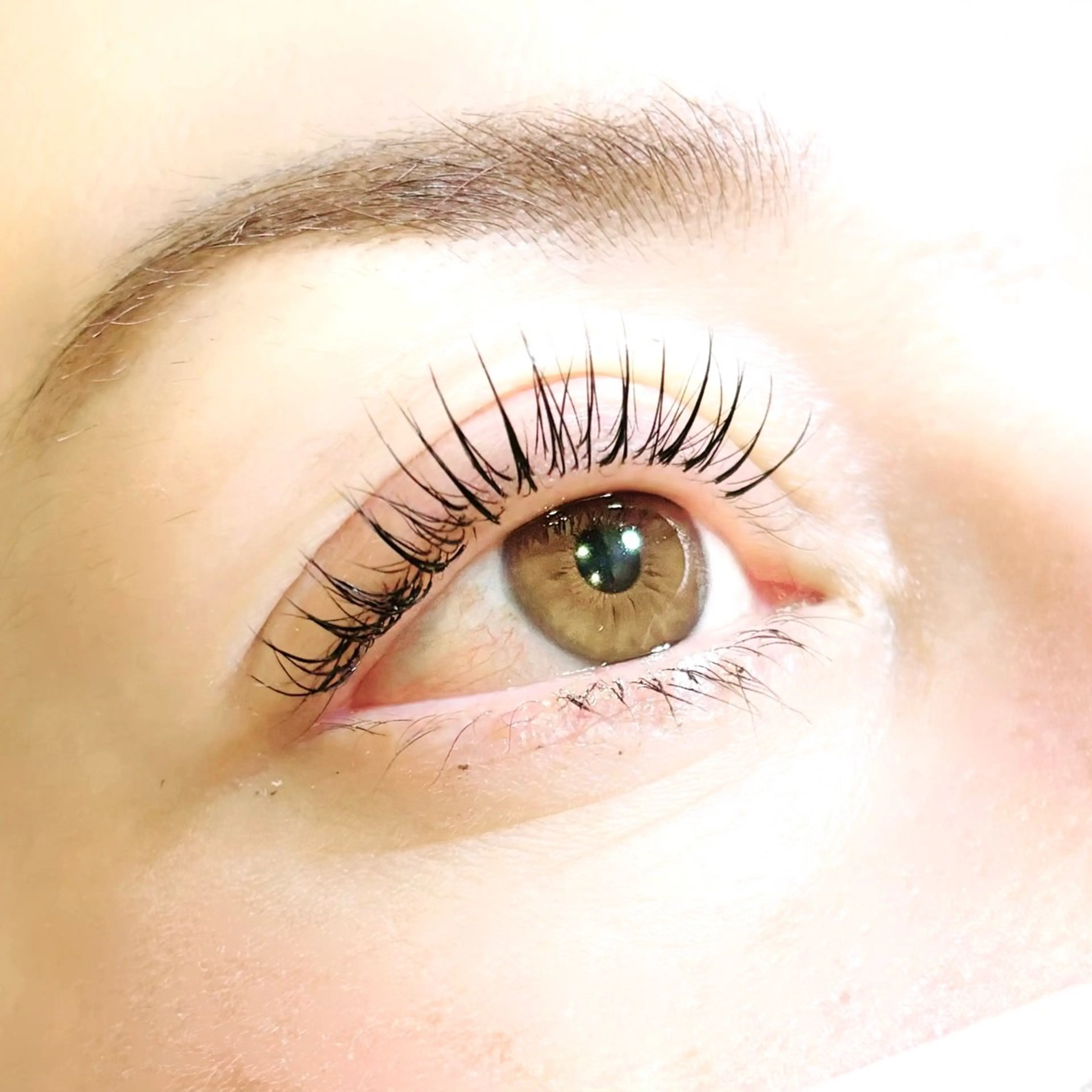 新規🫧まつげエクステ ミンク100本 ¥4,400🫧の写真