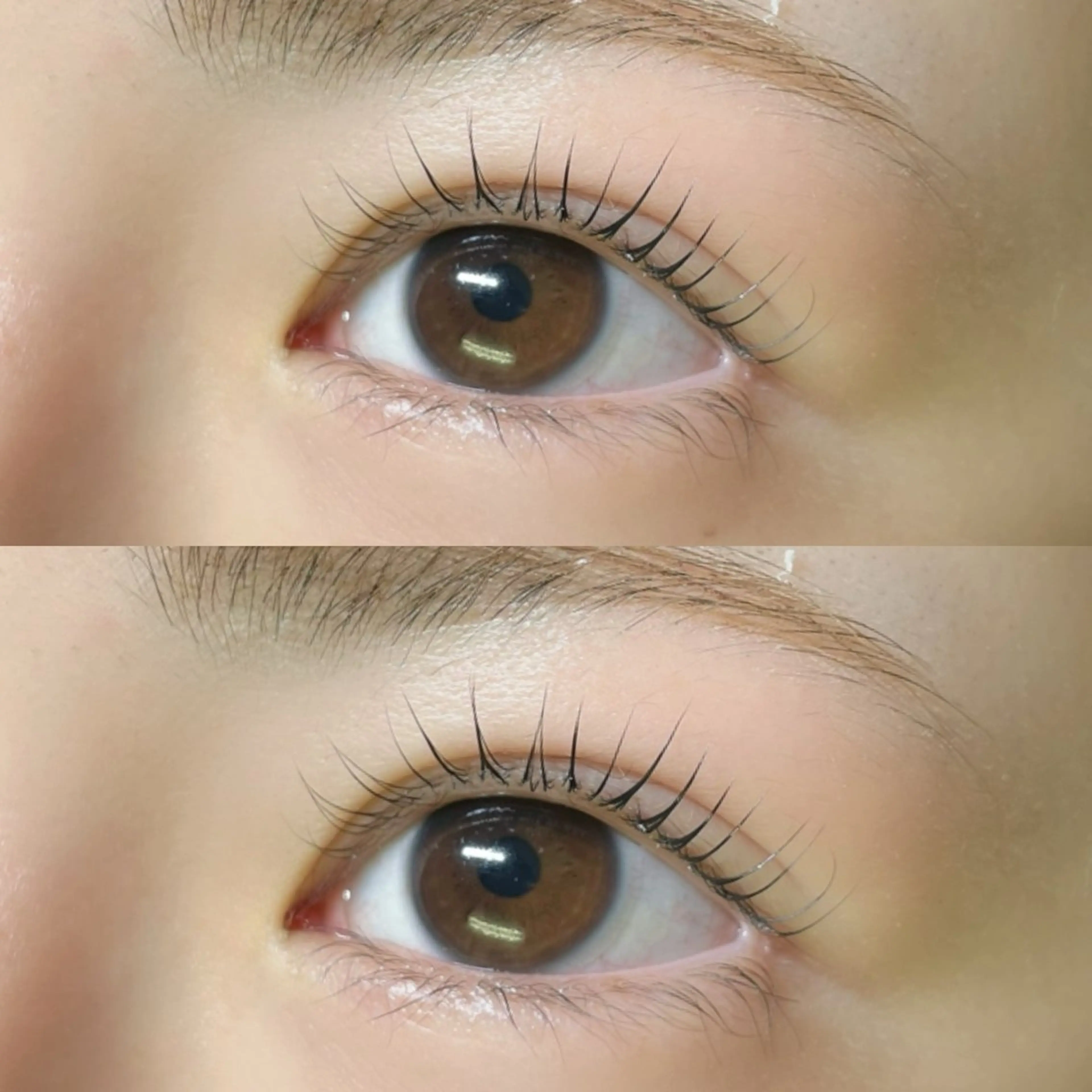 マツエク・マツパ マツパ リフュージュ　隠れ家所属・リフュージュ🌷 カホのマツエク・マツパデザイン