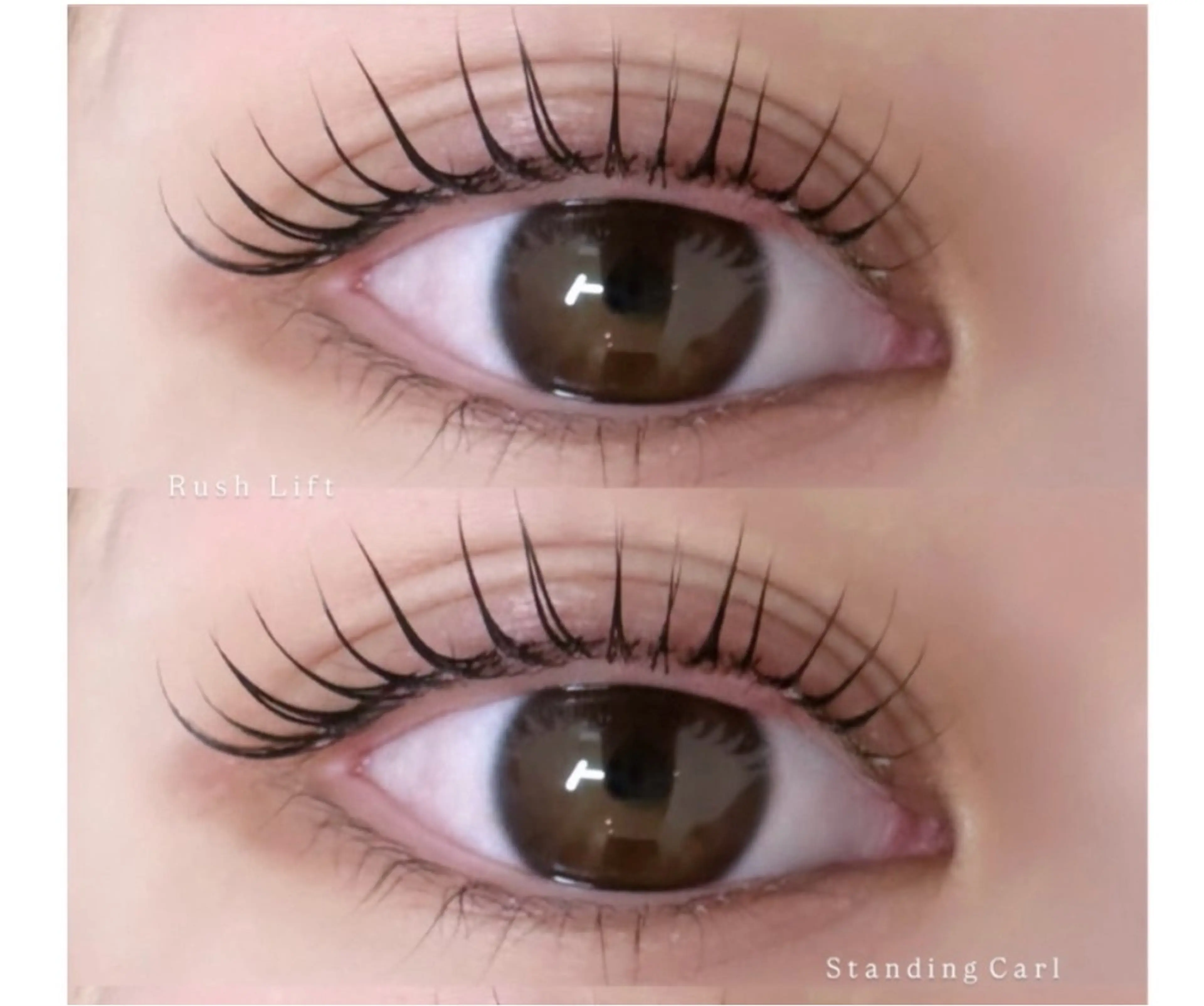 マツエク・マツパ LORAN_ Ayamiの眉毛・アイブロウイメージ