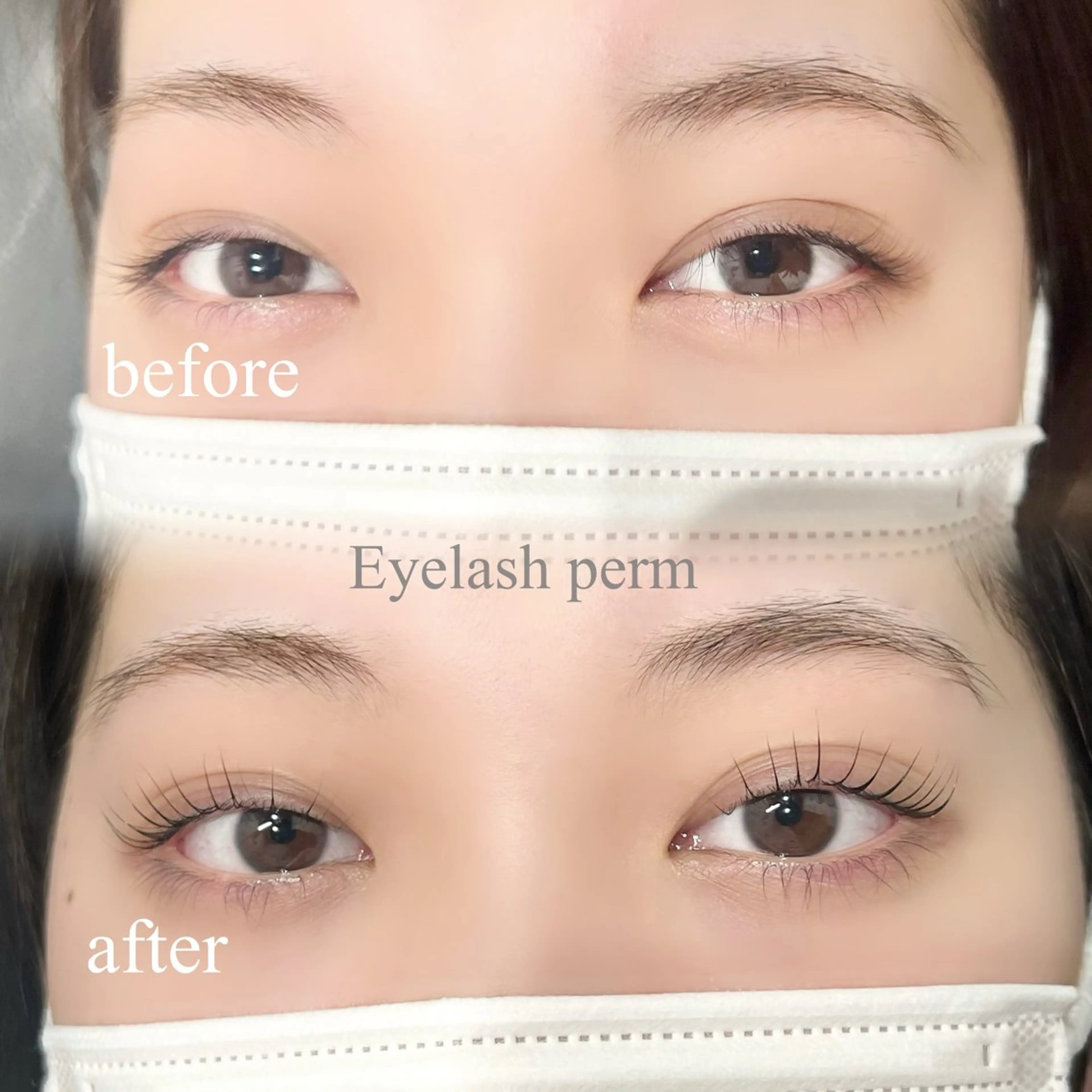 【期間限定価格クーポン】人気メニュー🦋 まつげパーマ✨️ コーティング込み🩵の写真
