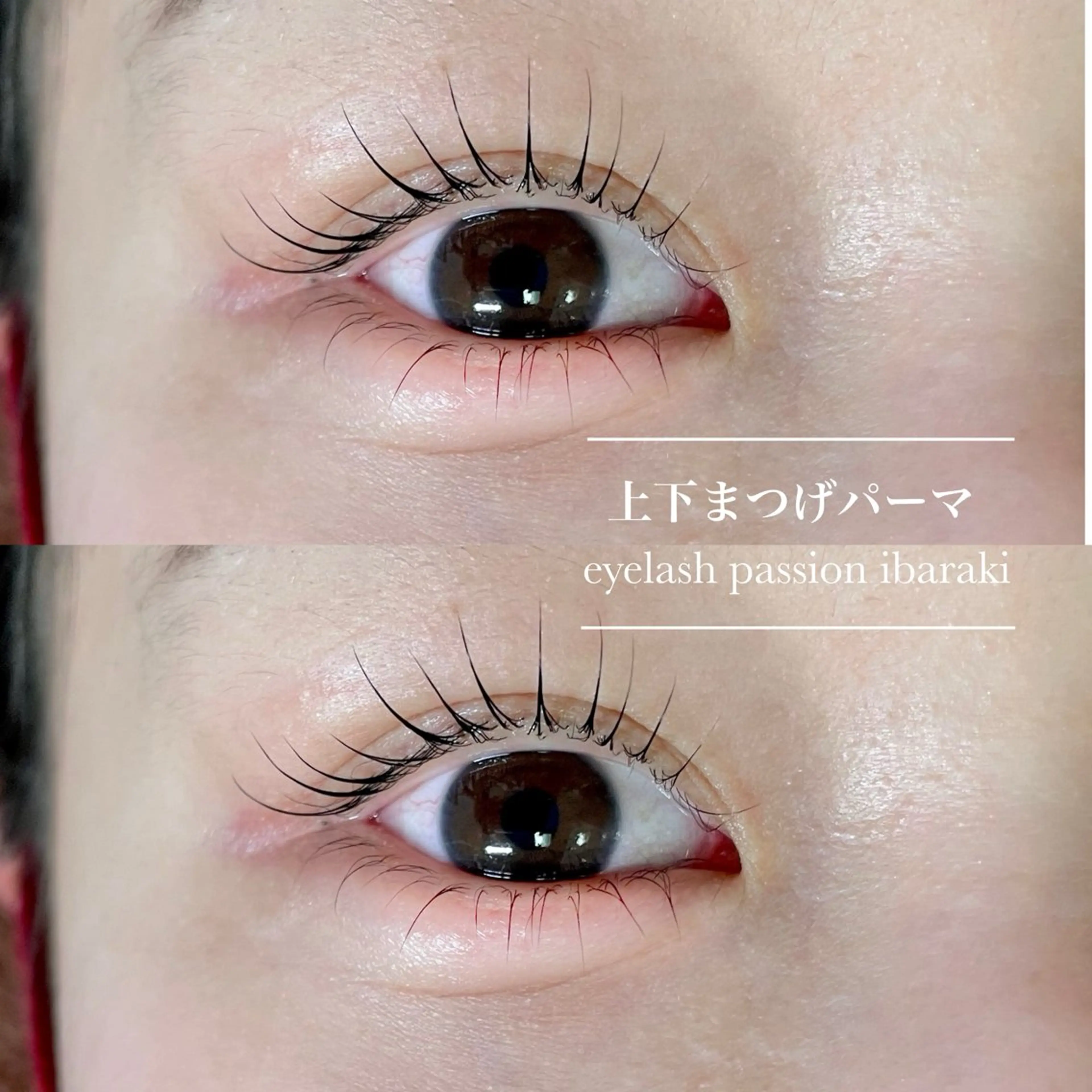 マツエク・マツパ まつげパーマ 下まつげエクステ マツパ eyelist🌼 asukaのマツエク・マツパデザイン