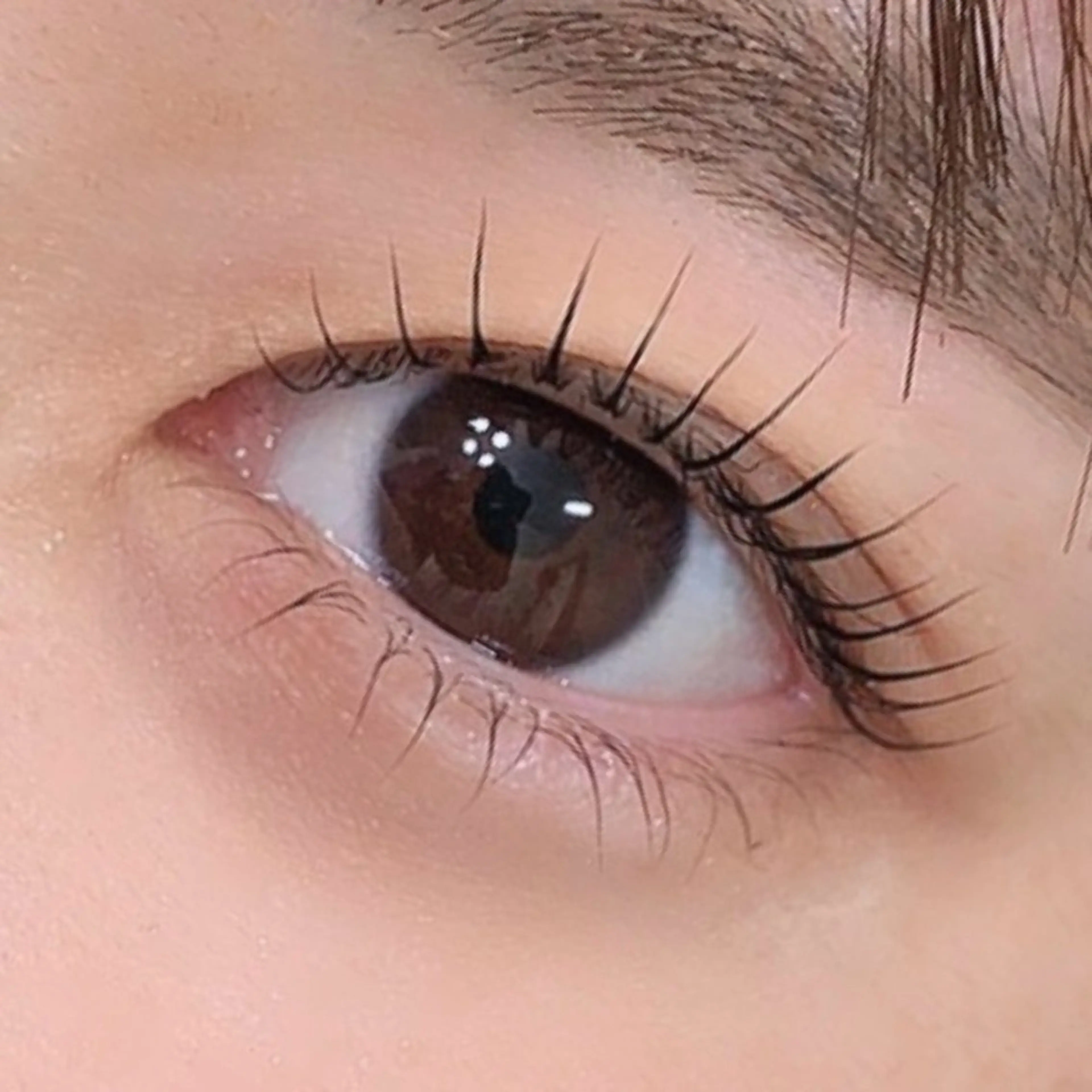 上下まつげパーマの写真
