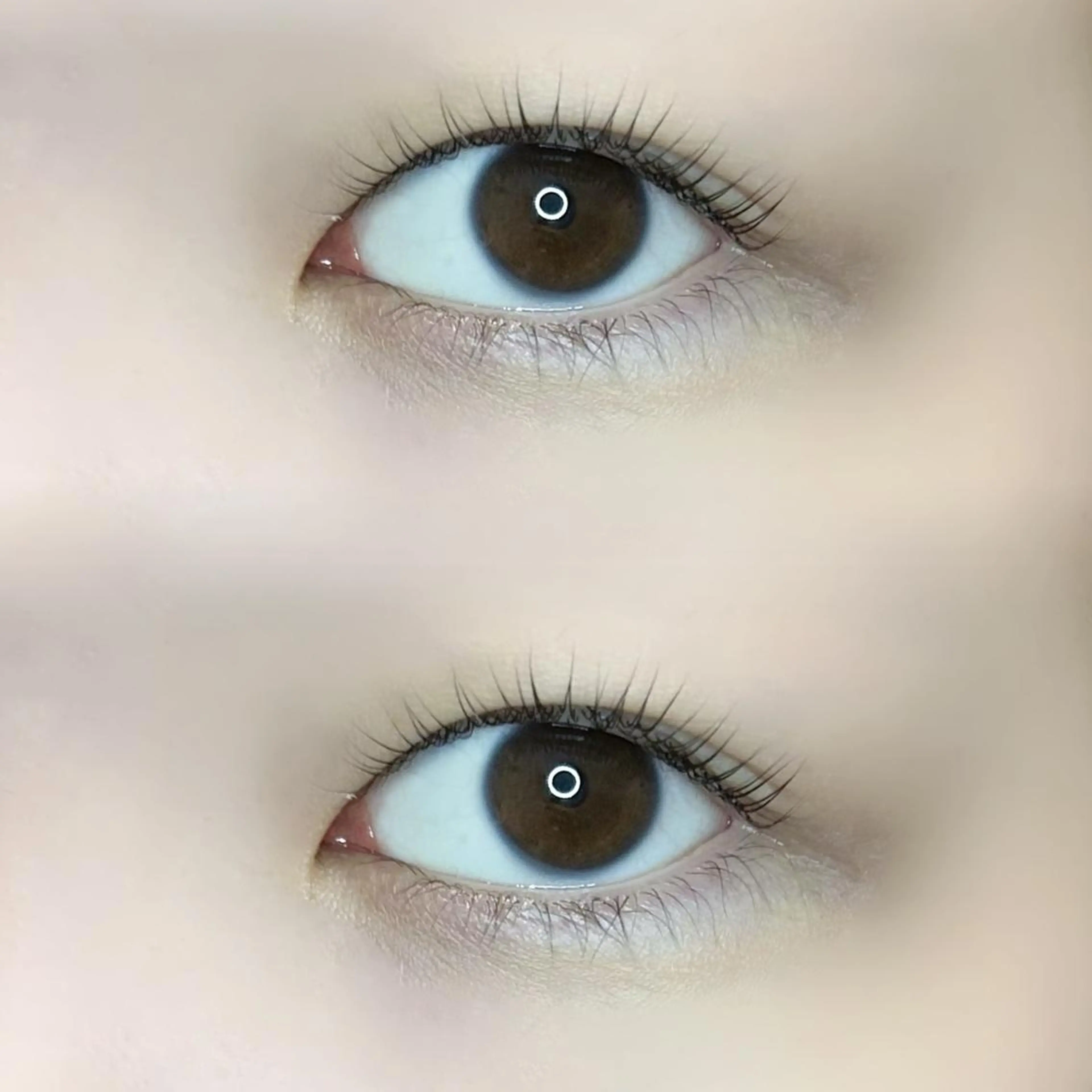 マツエク・マツパ パリジェンヌラッシュリフト 🦢✨fein. 原宿店✨🤍の眉毛・アイブロウイメージ