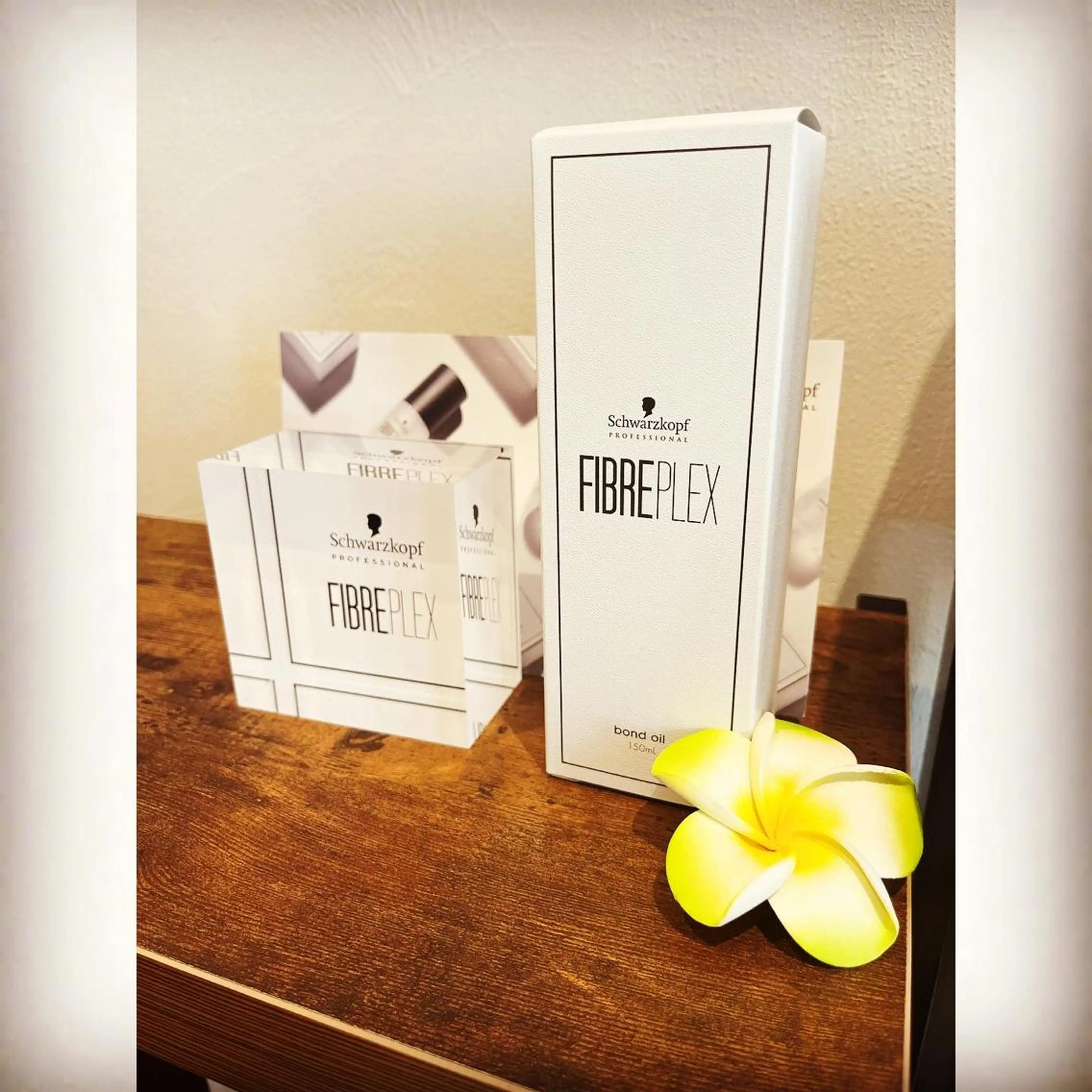 坂井田 浩樹のヘアスタイル