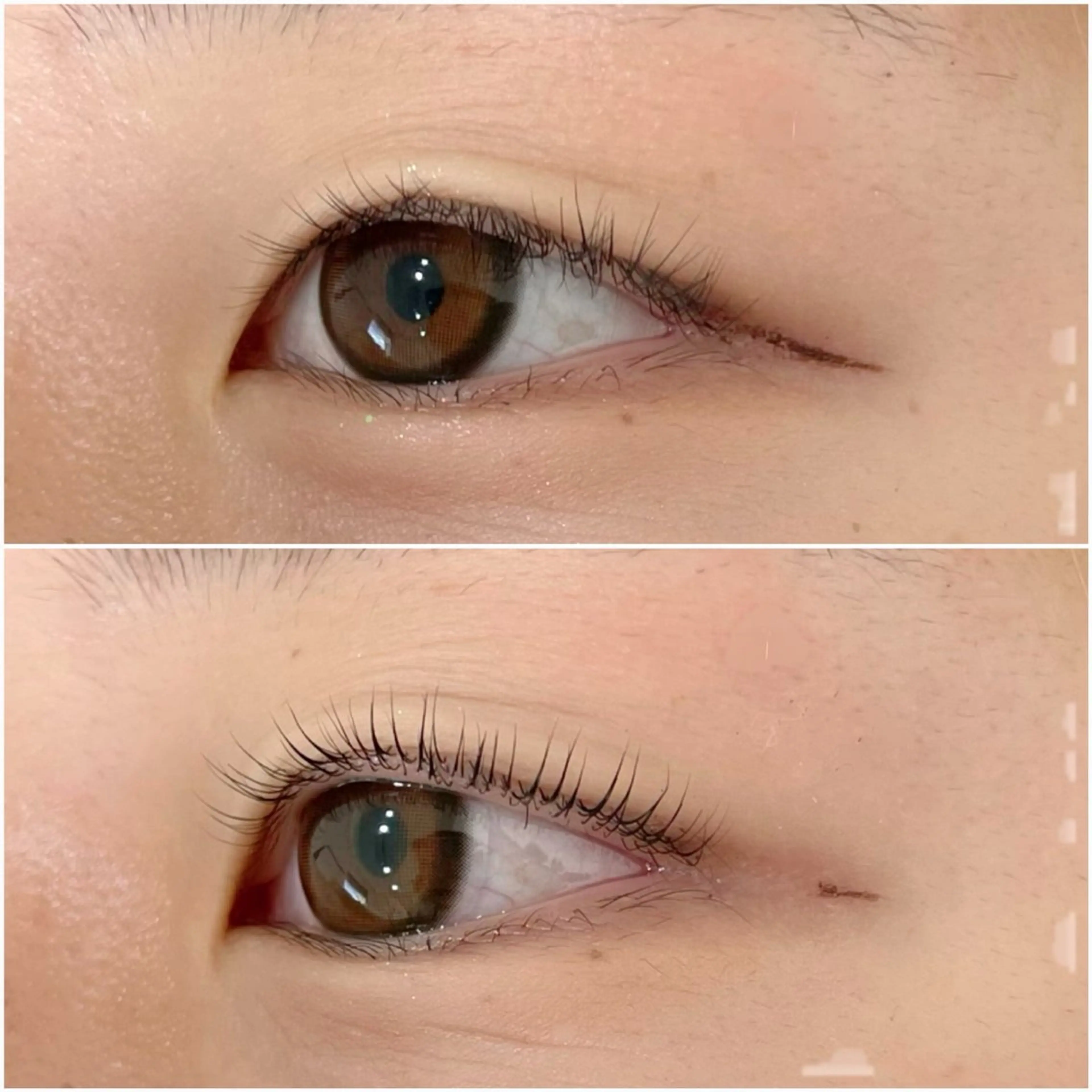 マツエク・マツパ マツパ 丹野 みゆき🦩🦩🫧のマツエク・マツパデザイン