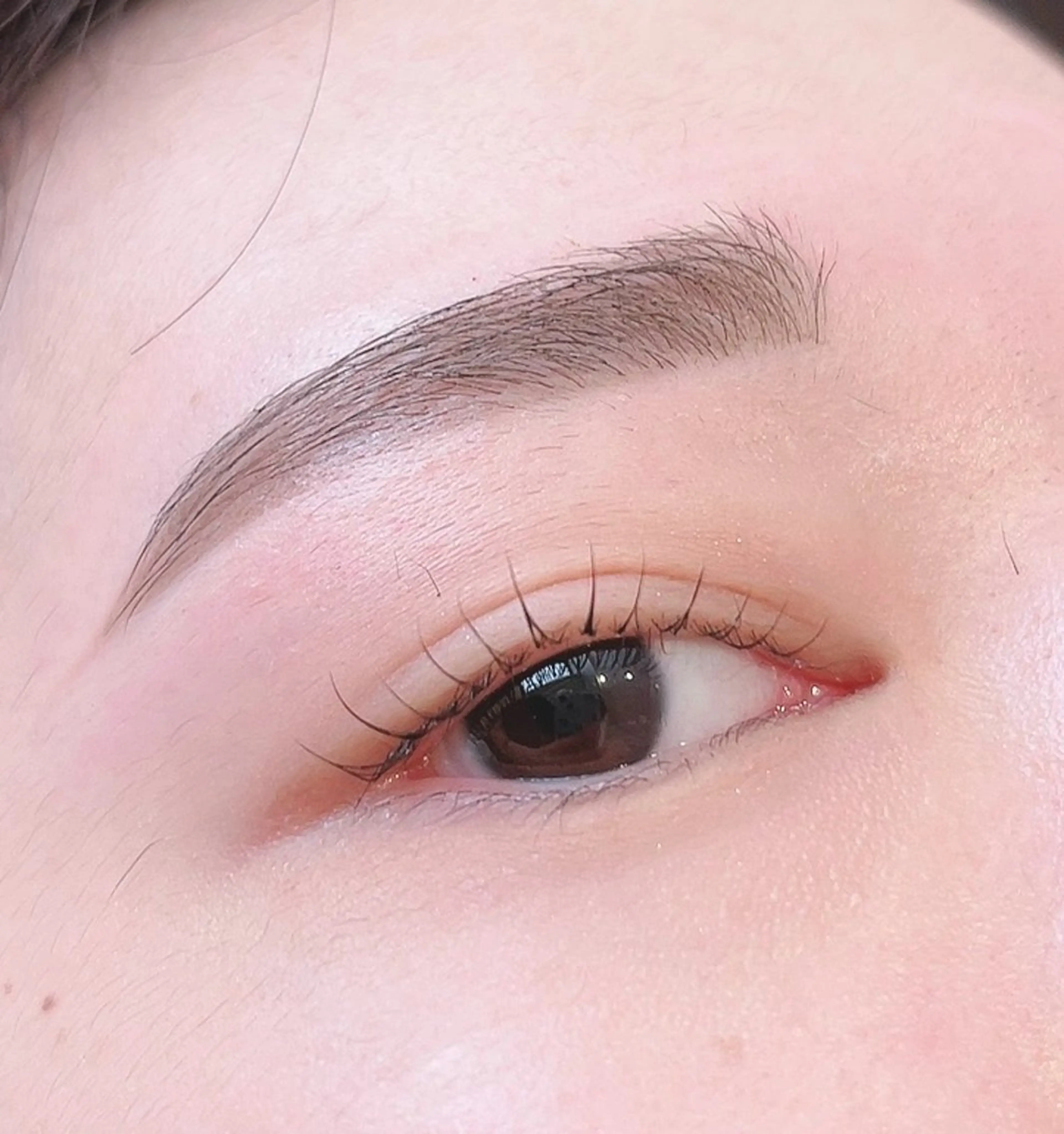 上まつげパーマ【パリジェンヌorラッシュリフト】✖️眉毛WAX脱毛🫶の写真
