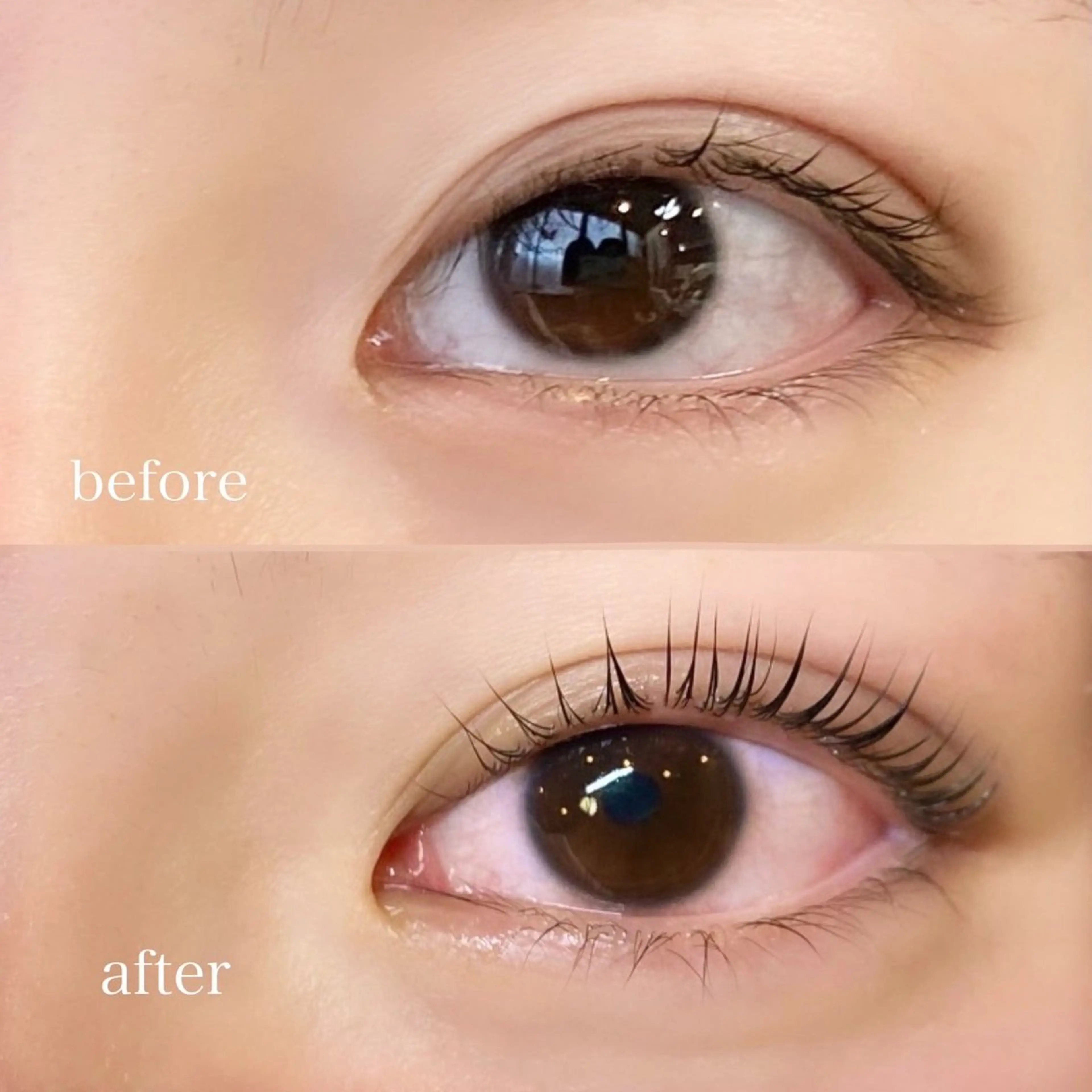 マツエク・マツパ Butterfly 有薗の眉毛・アイブロウイメージ