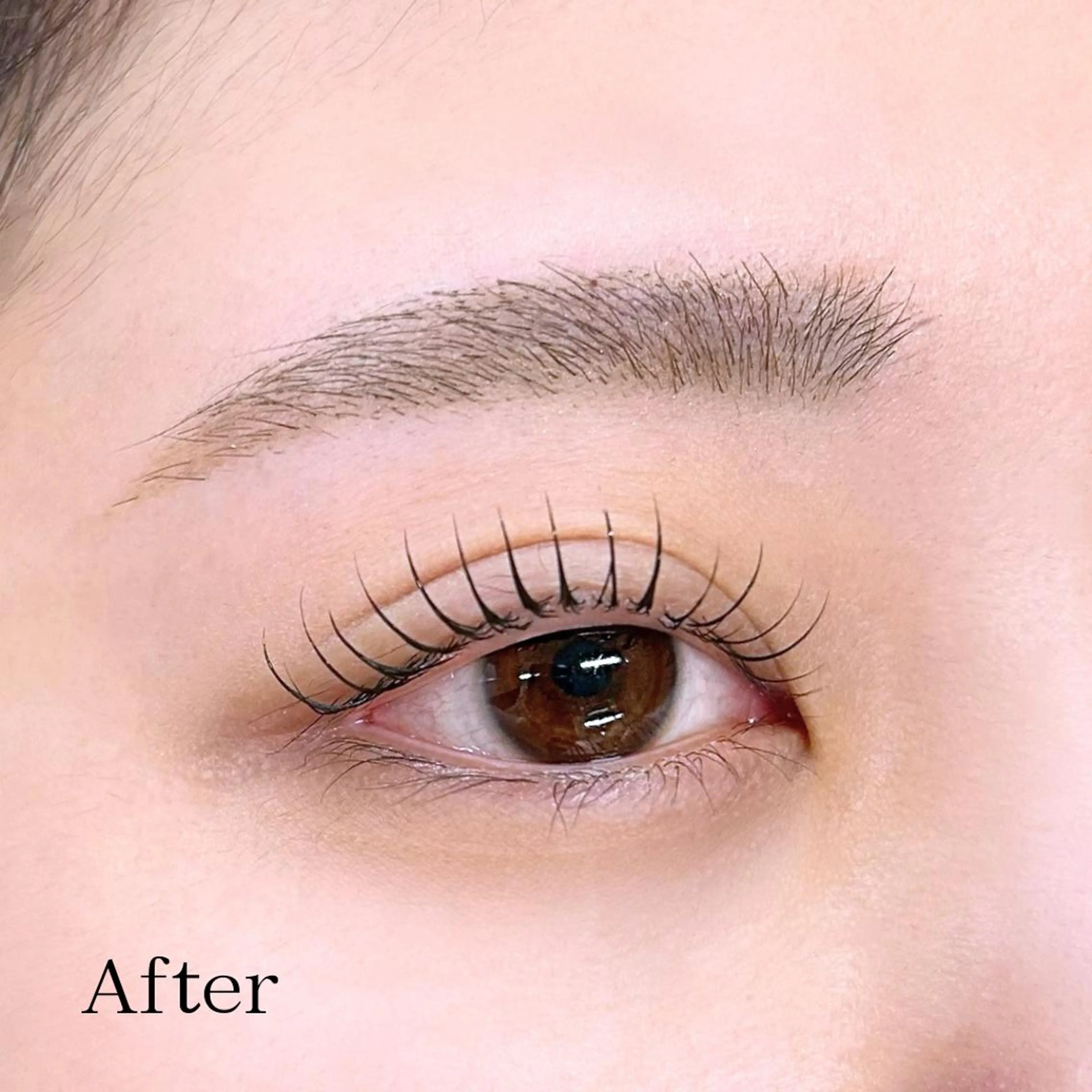 マツエク・マツパ 一重×まつ毛パーマ 骨格似合わせ眉WAX 眉まつ毛専門/石井の眉毛・アイブロウイメージ