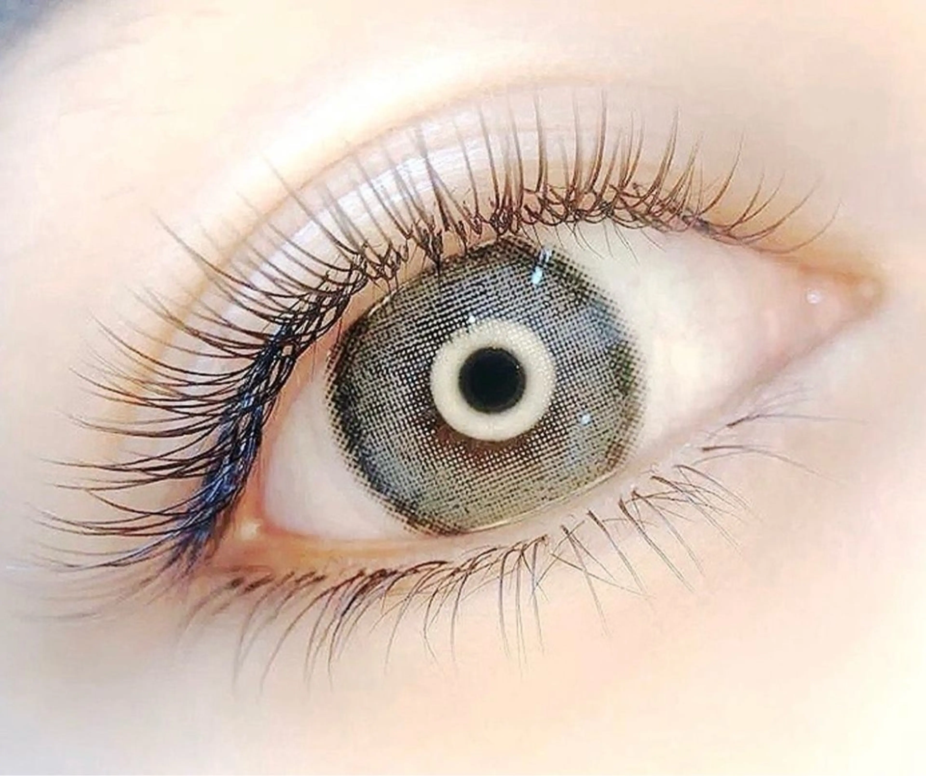 バインドラッシュ400本の写真