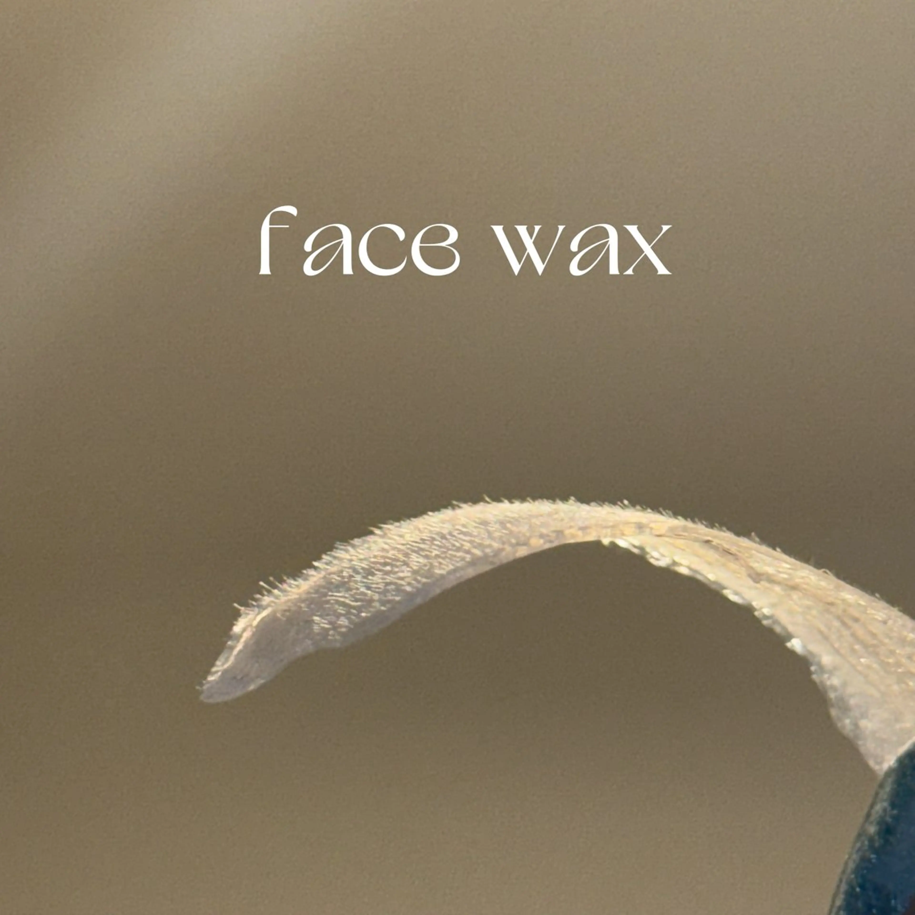 その他 nabi【ナビ】 ASAMIの眉毛・アイブロウイメージ