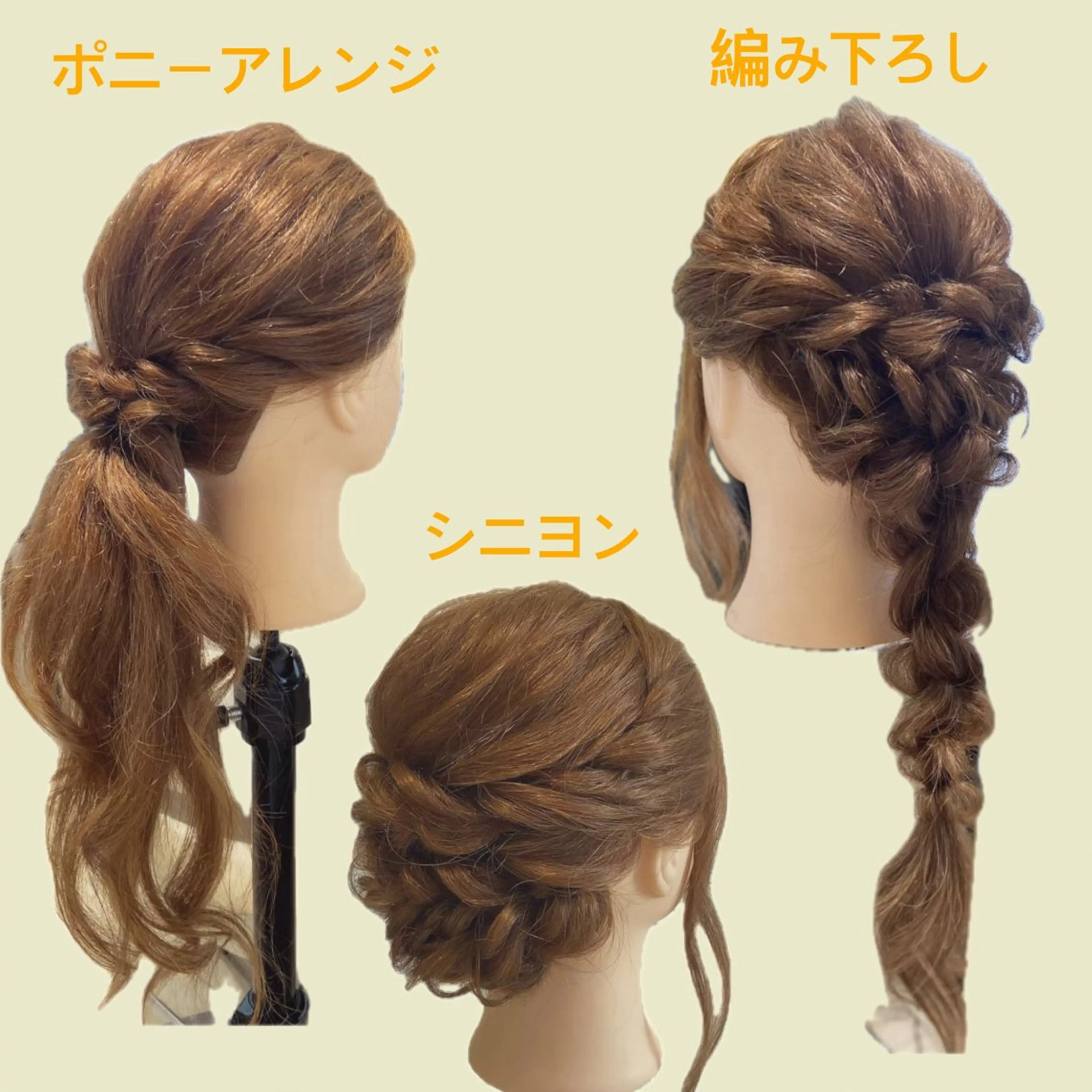【8/1​〜​8/31☆19時限定】ヘアアレンジ練習モデルの写真