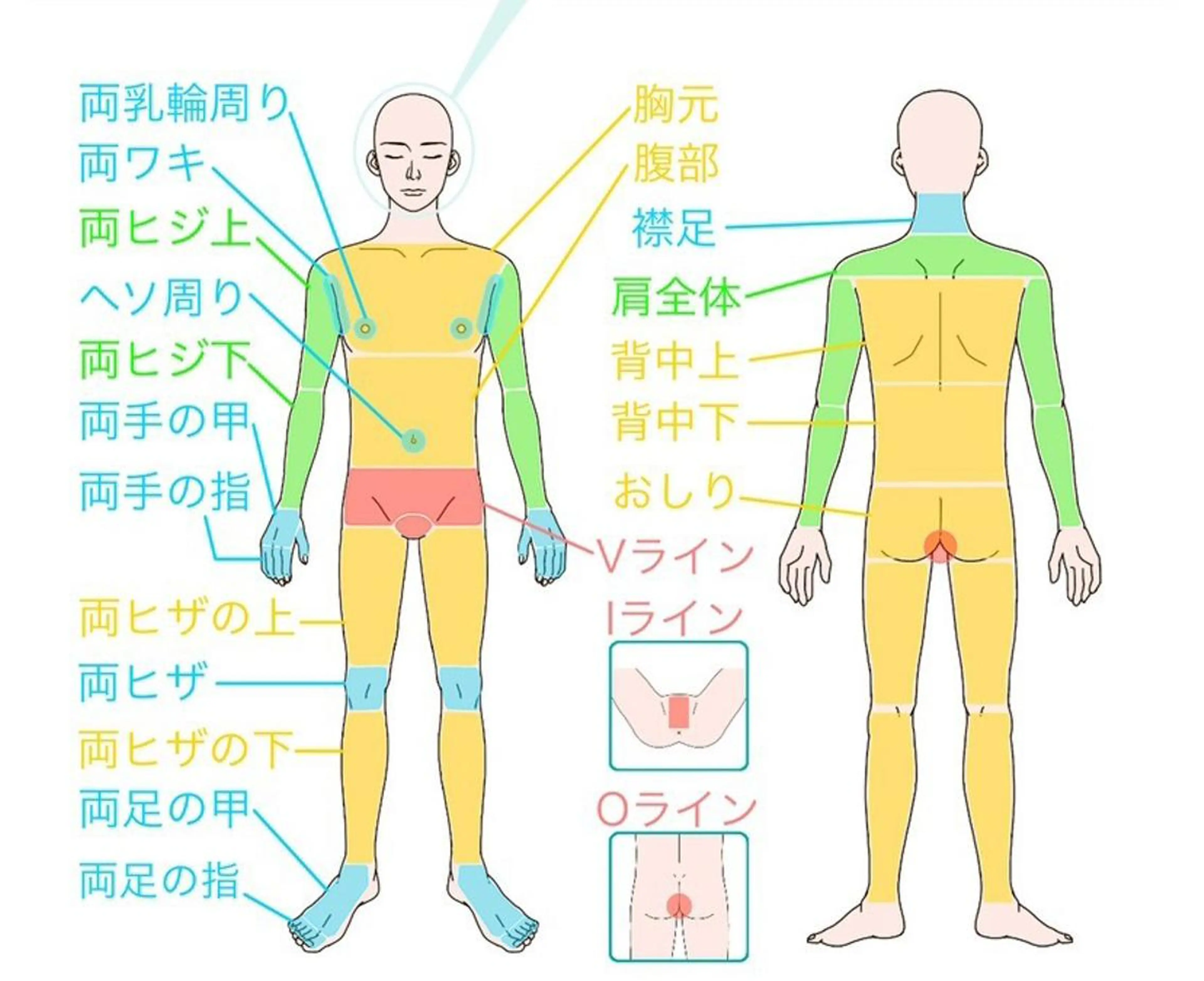 男性🚹　【選べる3部位】都度払いの写真