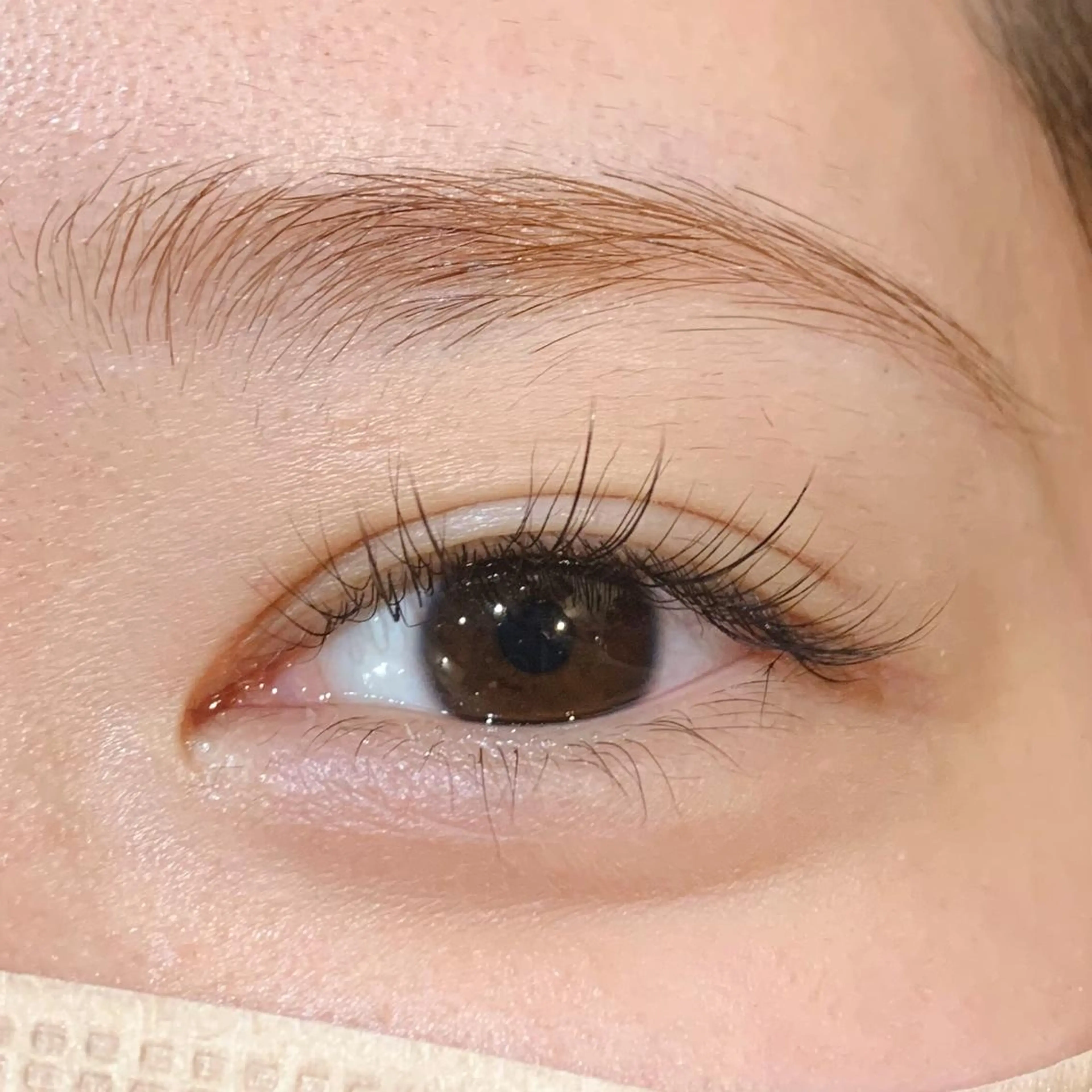 マツエク・マツパ パリジェンヌラッシュリフト alushe🌼 HIME🌼のマツエク・マツパデザイン