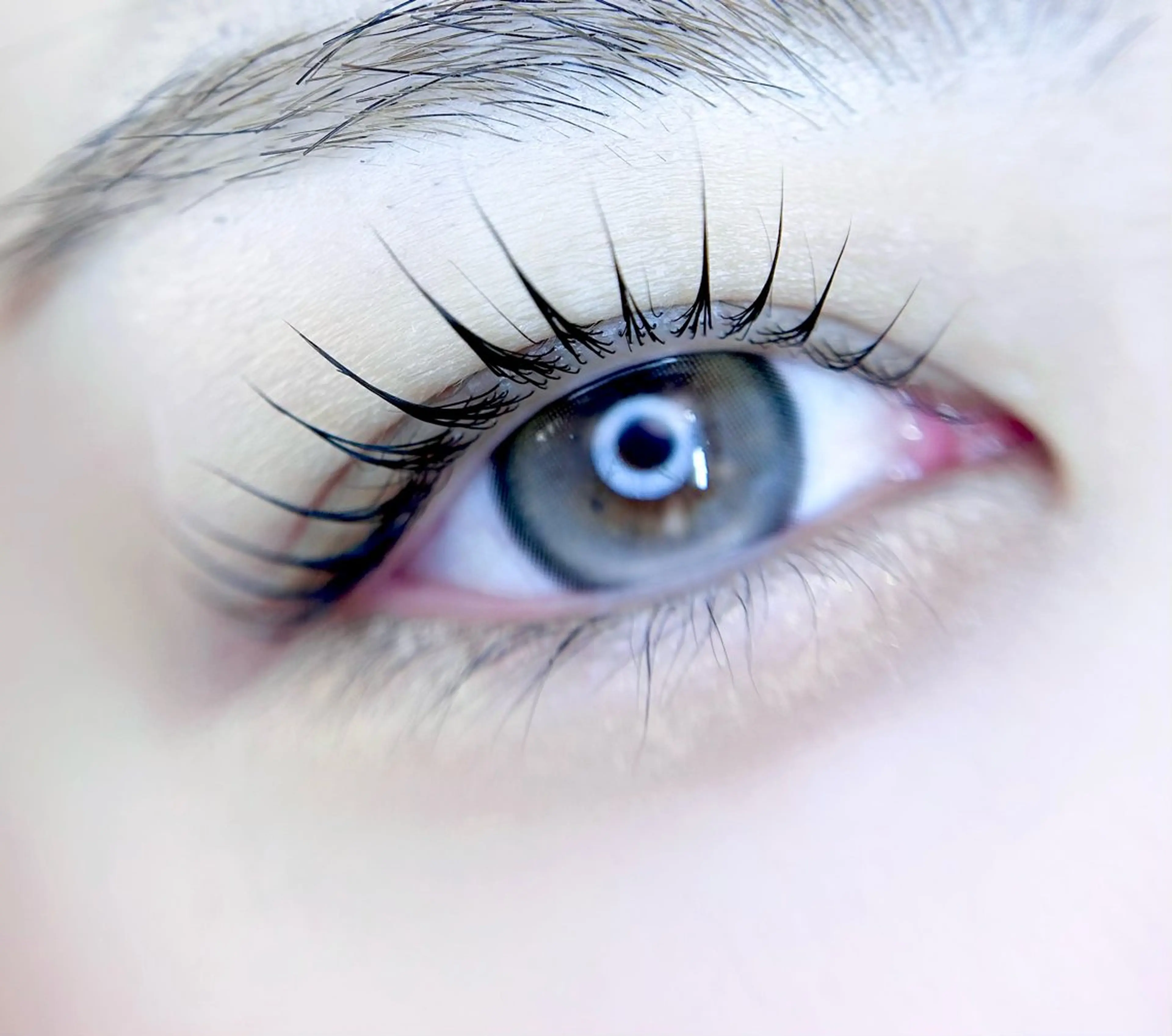 マツエク・マツパ マツパ 🎀eyelist. mizuki🐈‍⬛の眉毛・アイブロウイメージ