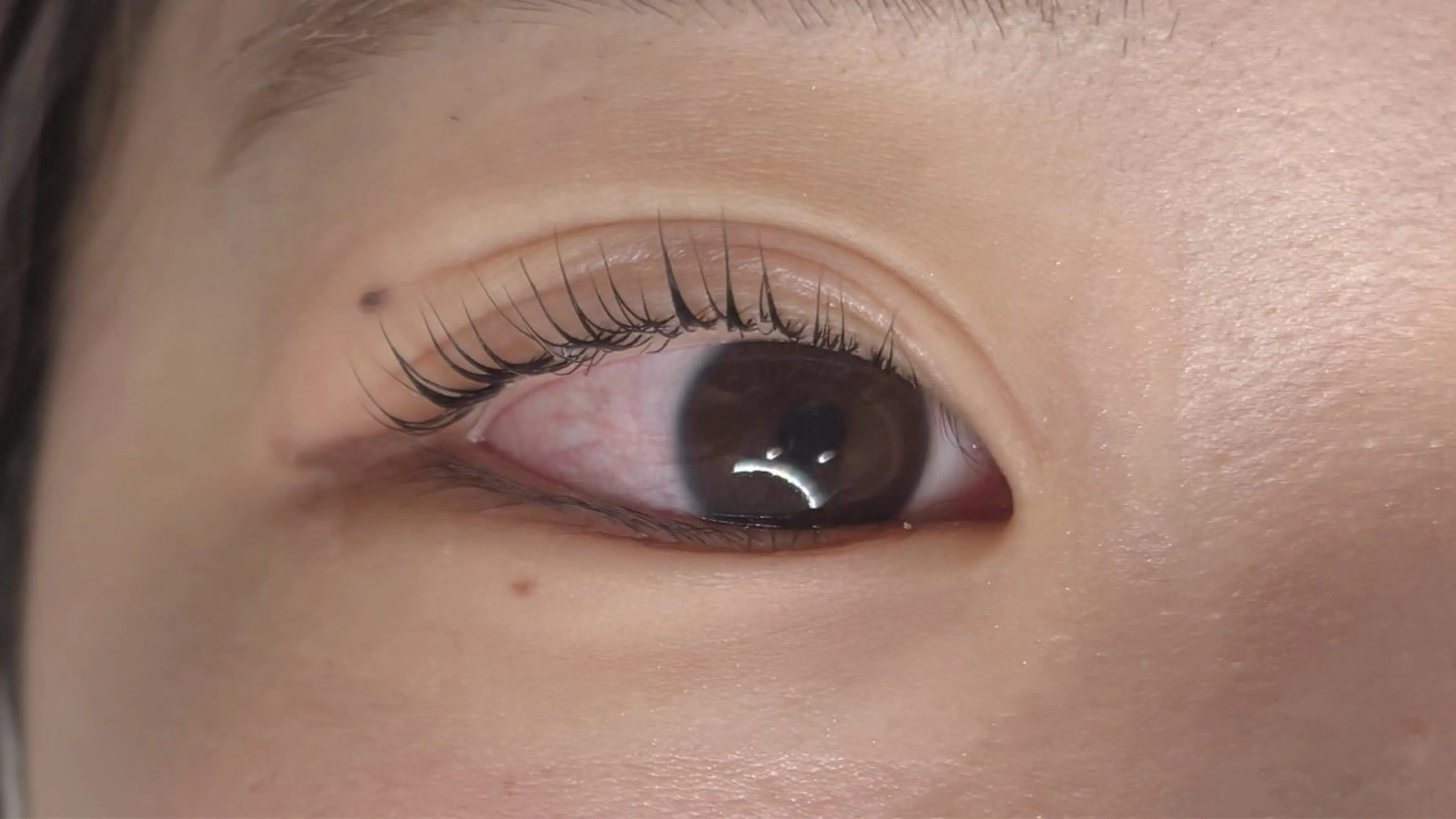 マツエク・マツパ パリジェンヌラッシュリフト Eyelash / YUZU🫧🌷のマツエク・マツパデザイン