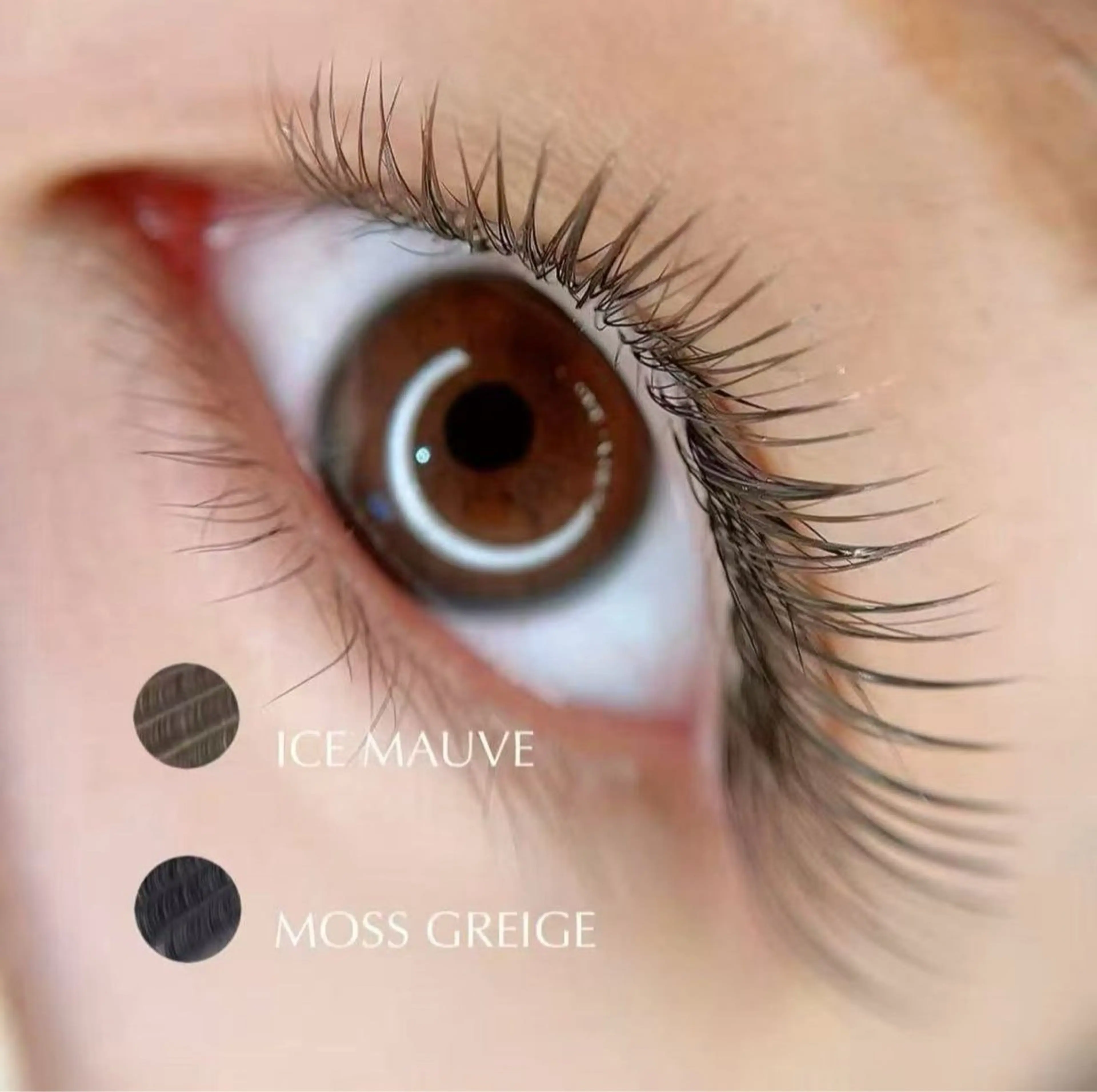 マツエク・マツパ アデル まつげサロンのマツエク・マツパデザイン