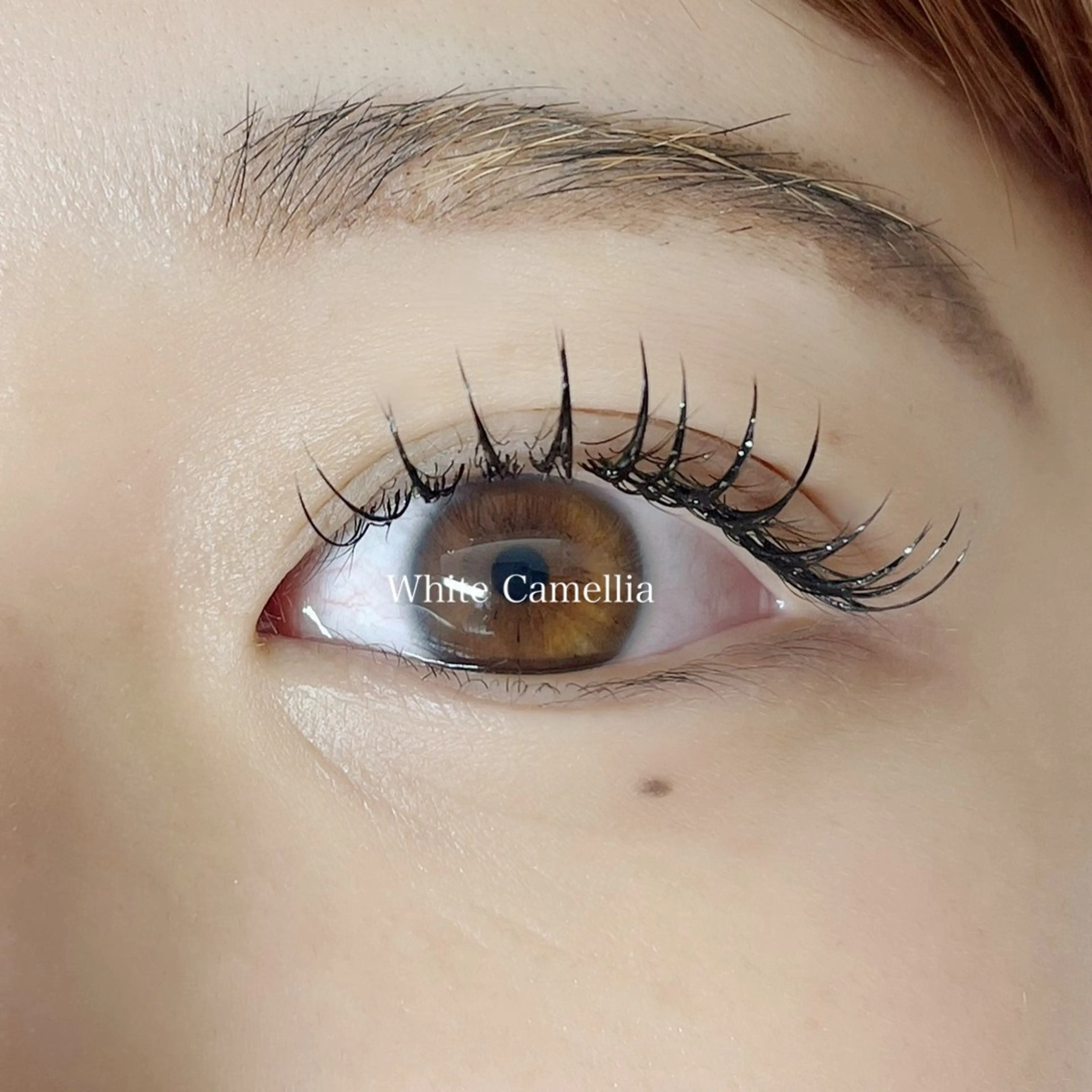 マツエク・マツパ 韓国風束感まつ毛🎀 Nanamiのマツエク・マツパデザイン