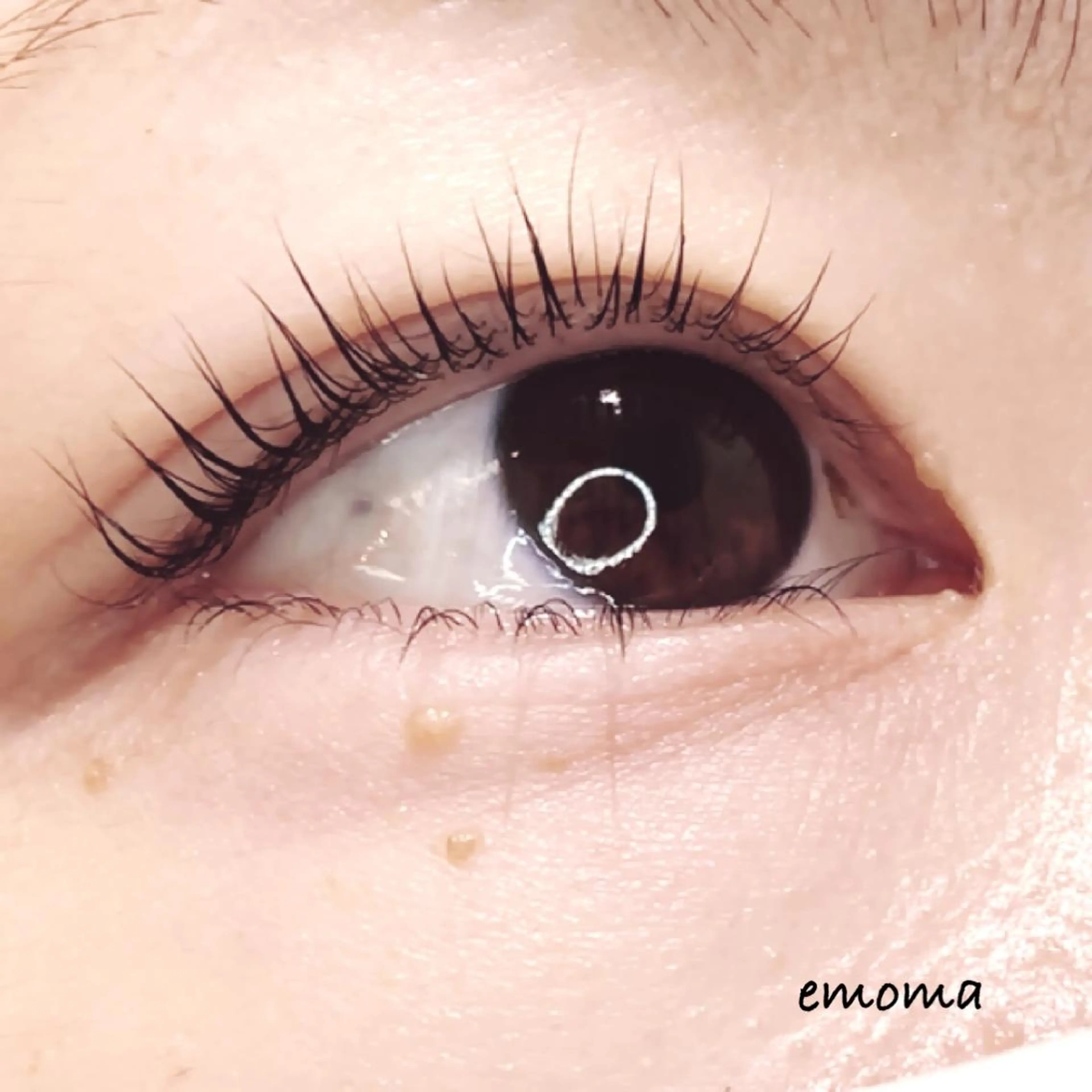 マツエク・マツパ emoma【エモマ】 天王寺／阿部野のマツエク・マツパデザイン