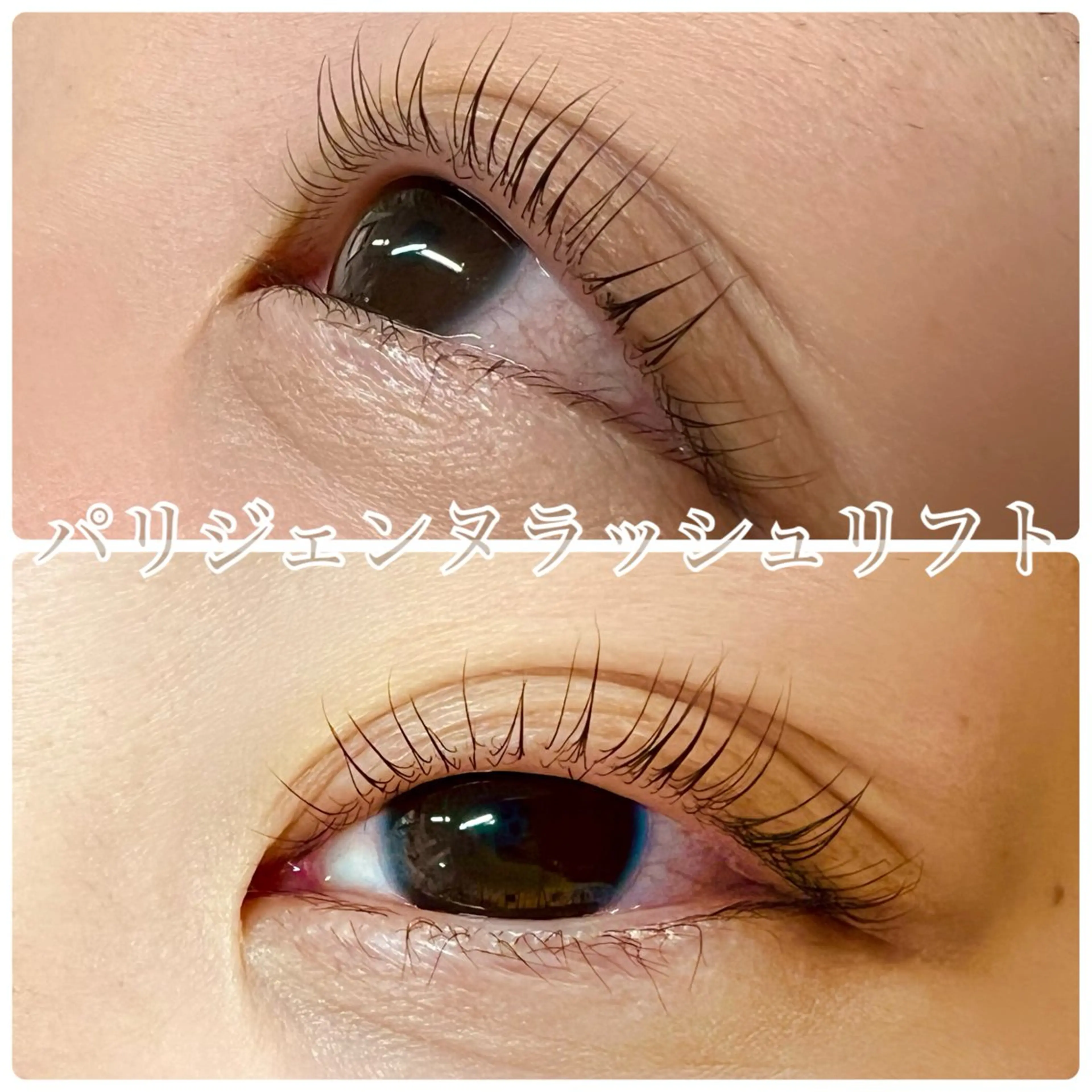 マツエク・マツパ パリジェンヌラッシュリフト Megumi 📍横浜鴨居駅の眉毛・アイブロウイメージ