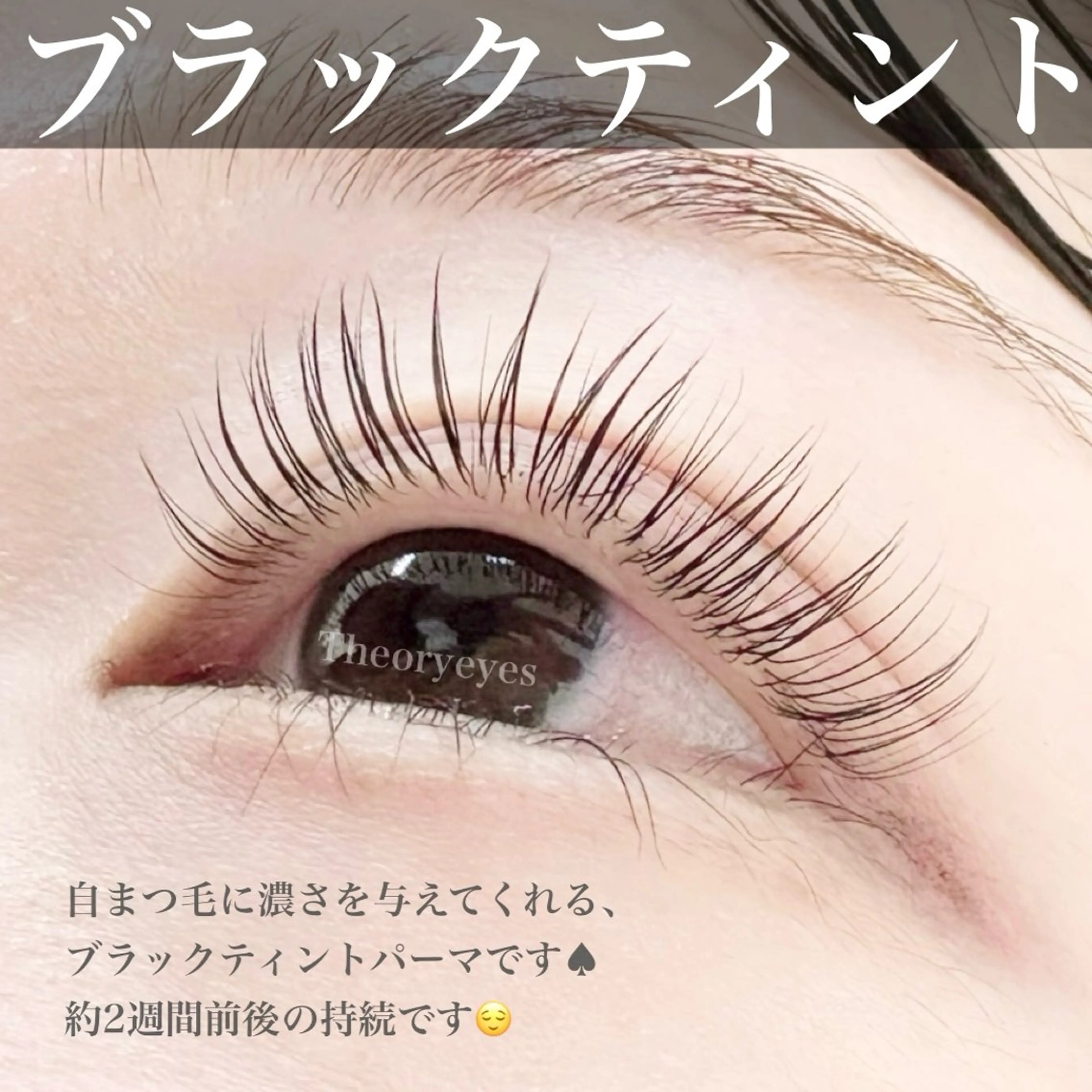 マツエク・マツパ Theoryeyes 松岡のマツエク・マツパデザイン