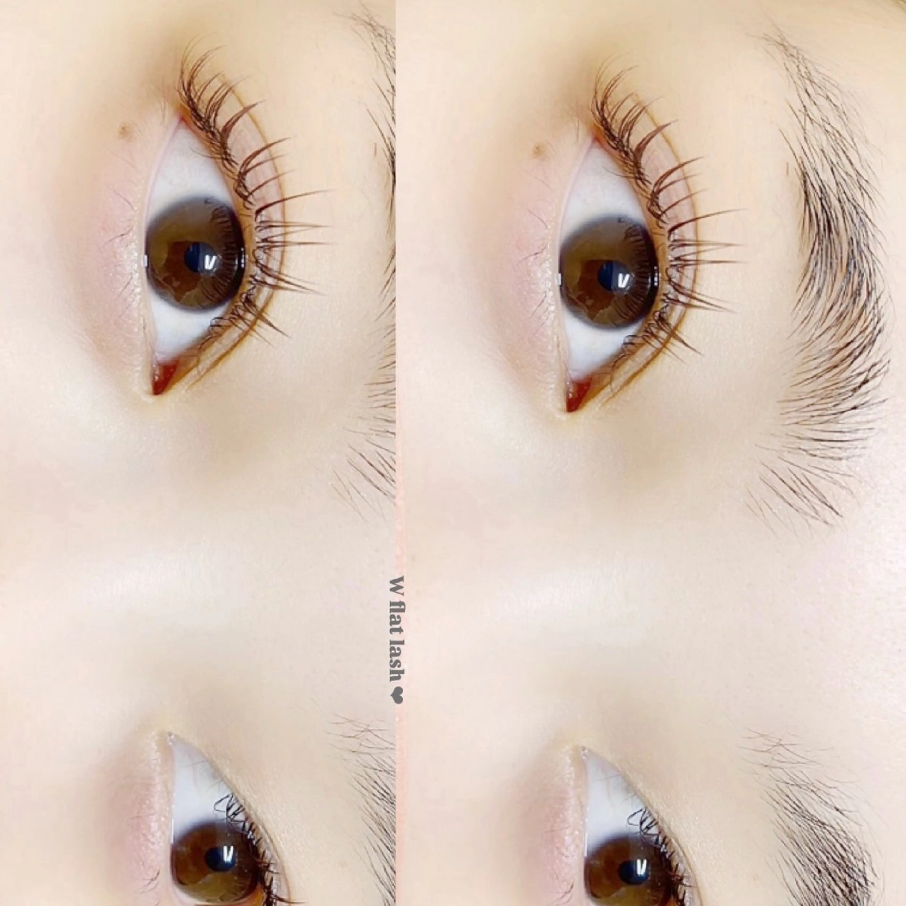 マツエク・マツパ カラーマツエク フラットラッシュ apis eye所属・apis eyeのマツエク・マツパデザイン