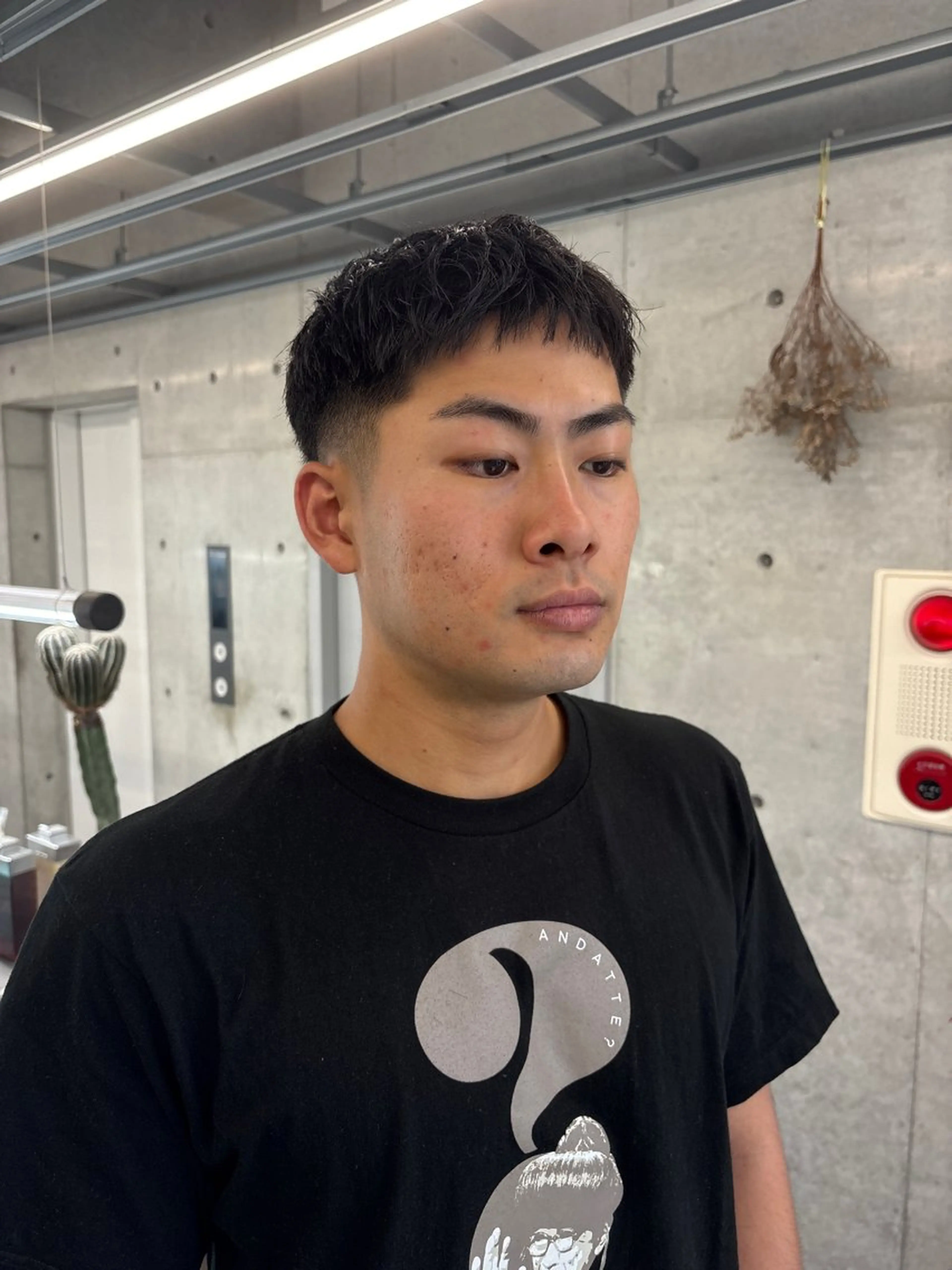 ショート フジイ トワのヘアスタイル