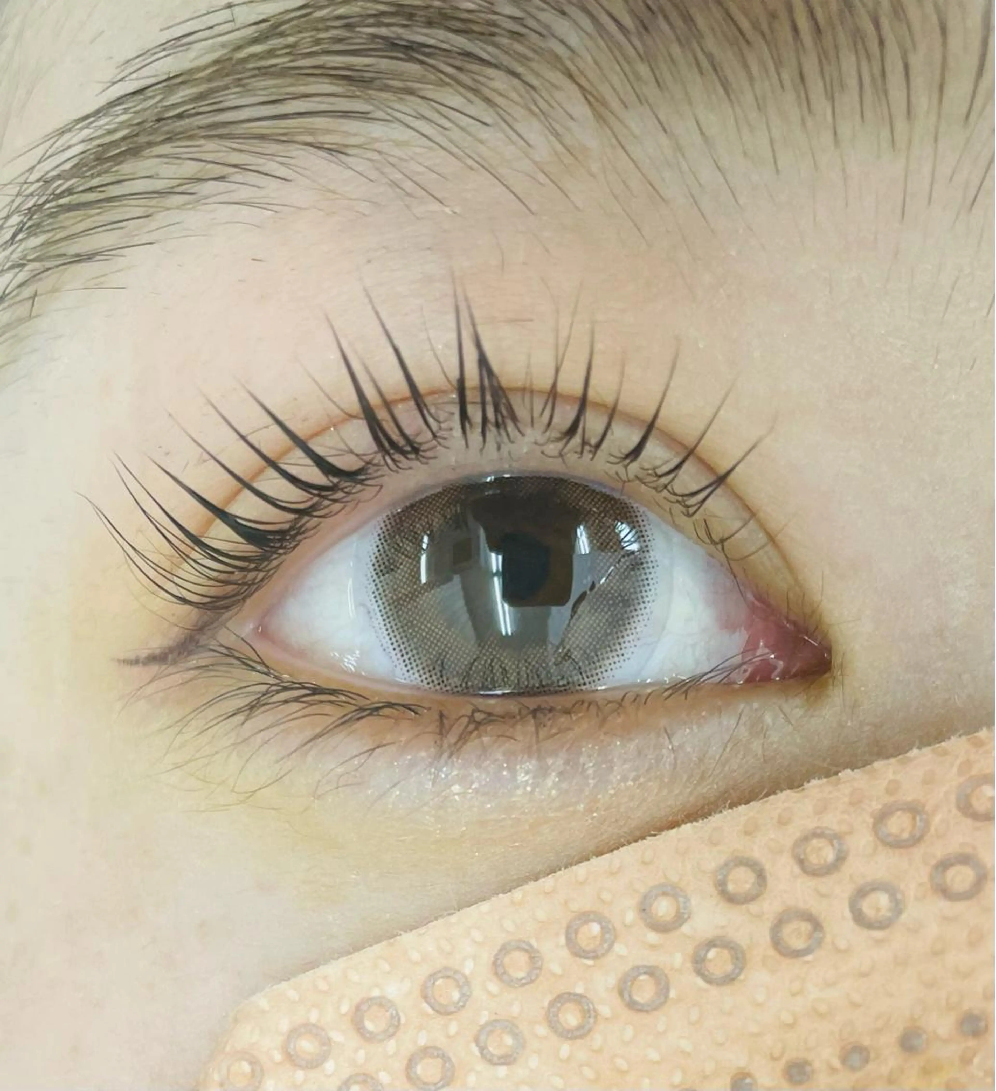 マツエク・マツパ パリジェンヌラッシュリフト Ota Sayaのマツエク・マツパデザイン