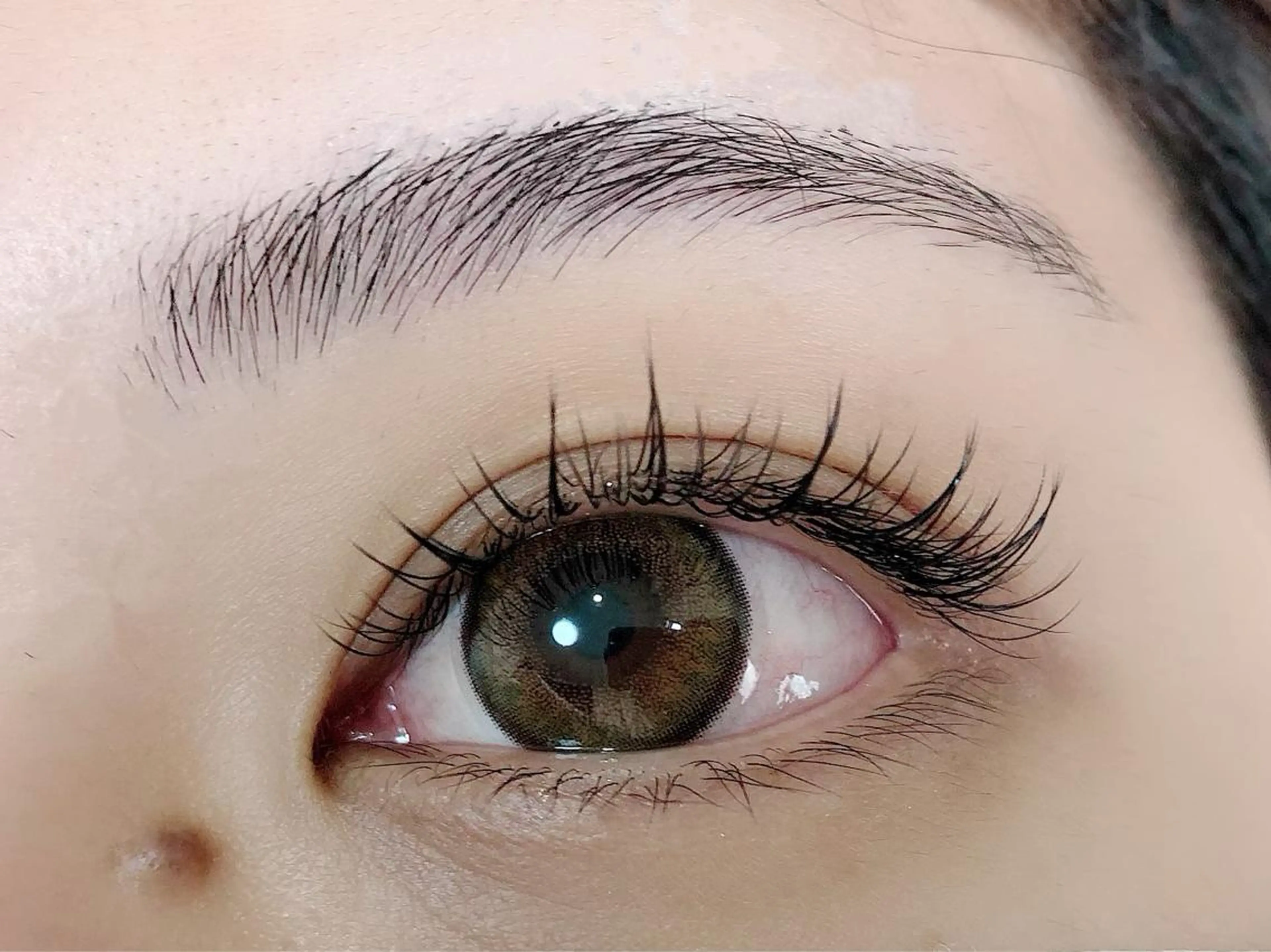 ワンホンまつえく120本の写真