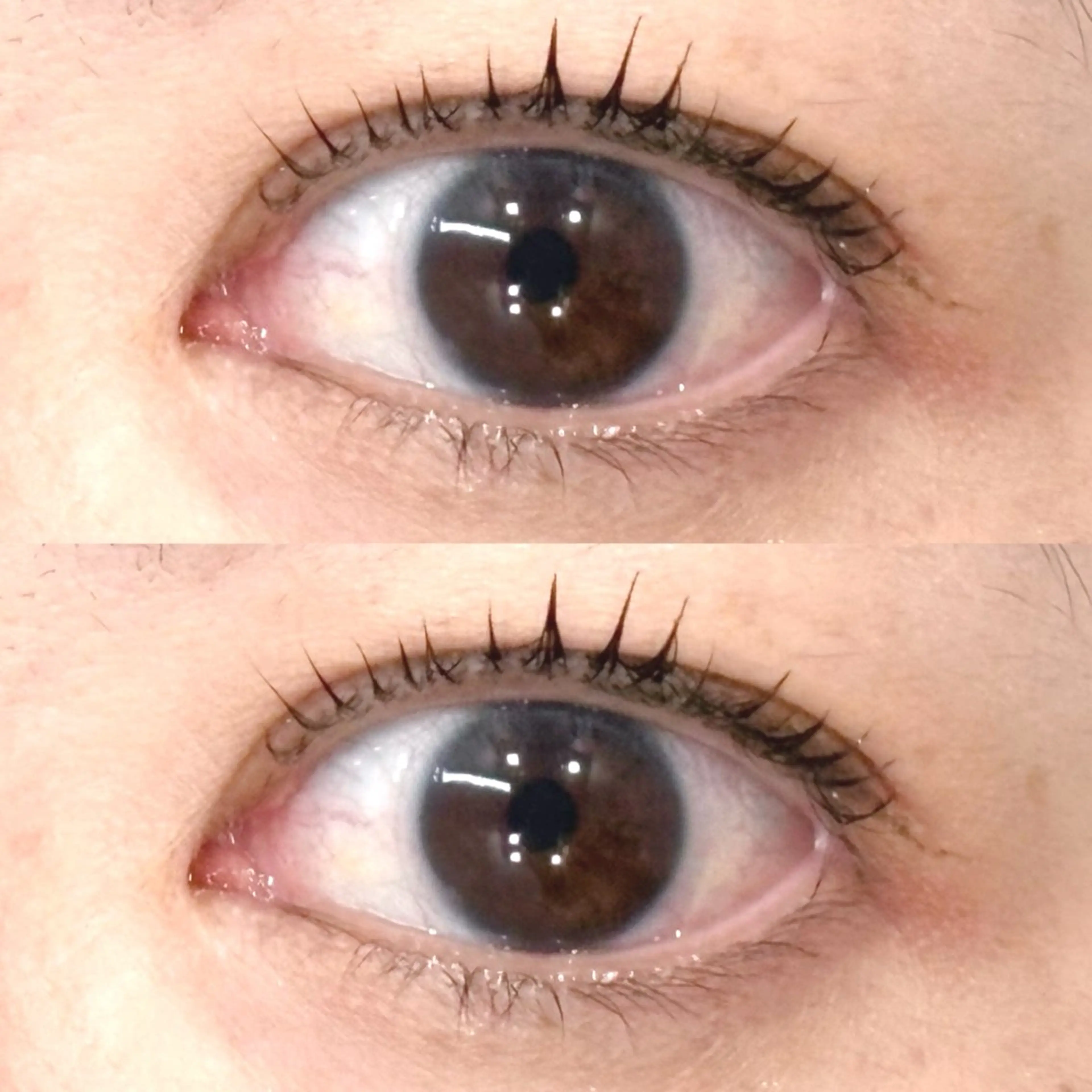 マツエク・マツパ マツパ chiho 🍀まつ毛パーマのマツエク・マツパデザイン