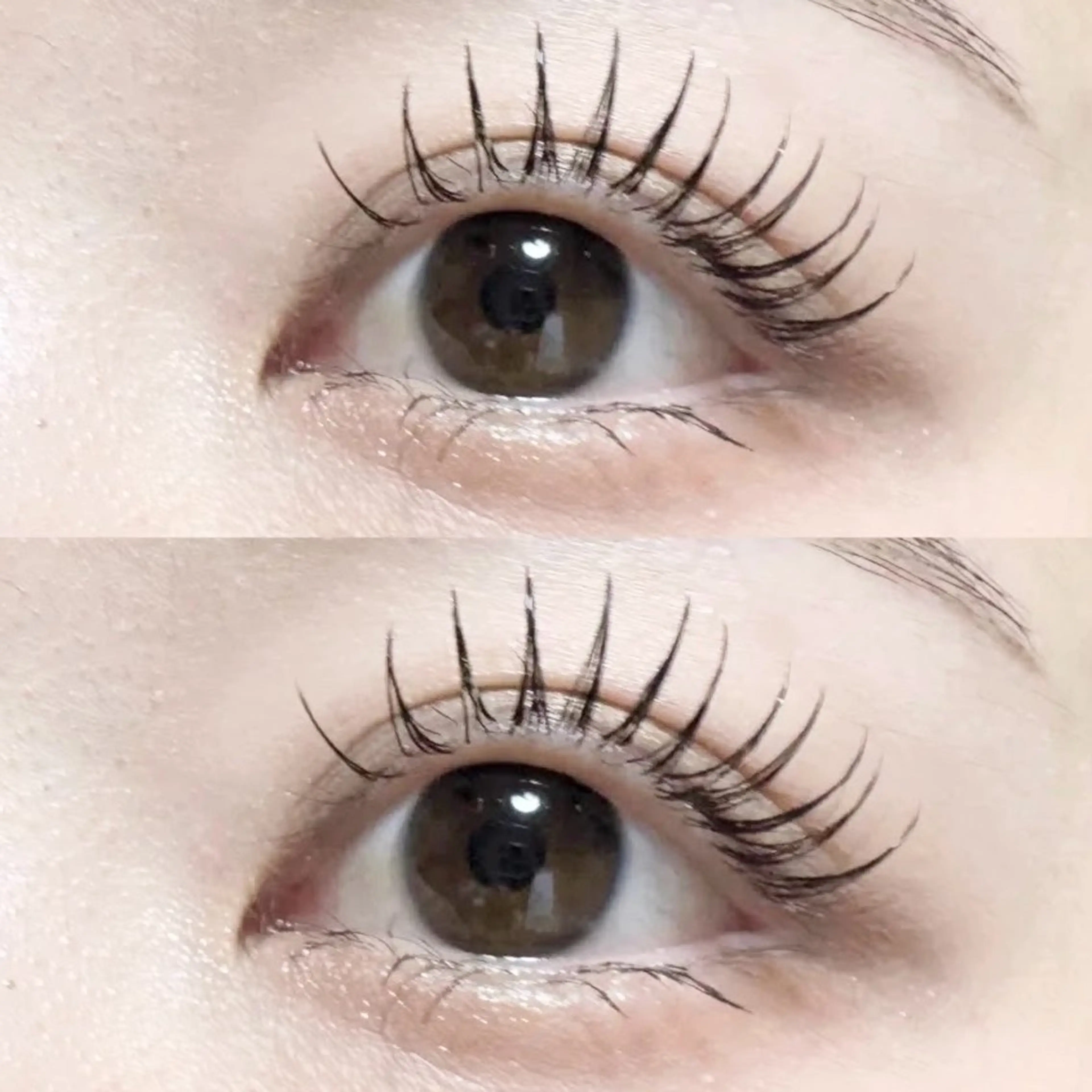 ご新規様限定❣️まつ毛エクステ160本【フラットラッシュ】オフ代無料✨の写真