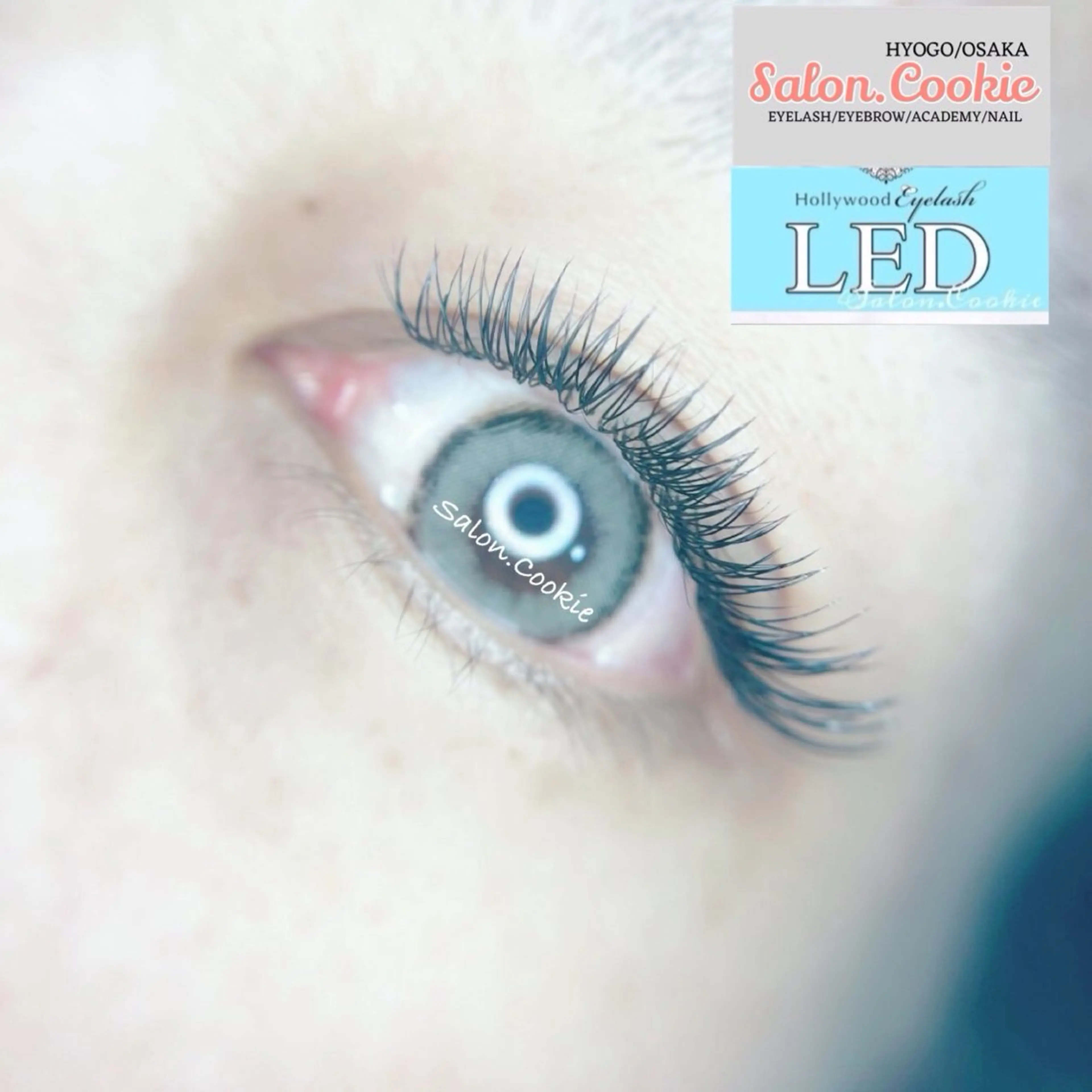 人数限定￥2000《LED使用★メガ(ダブルフラット)80束/160本》11/26・13時の写真