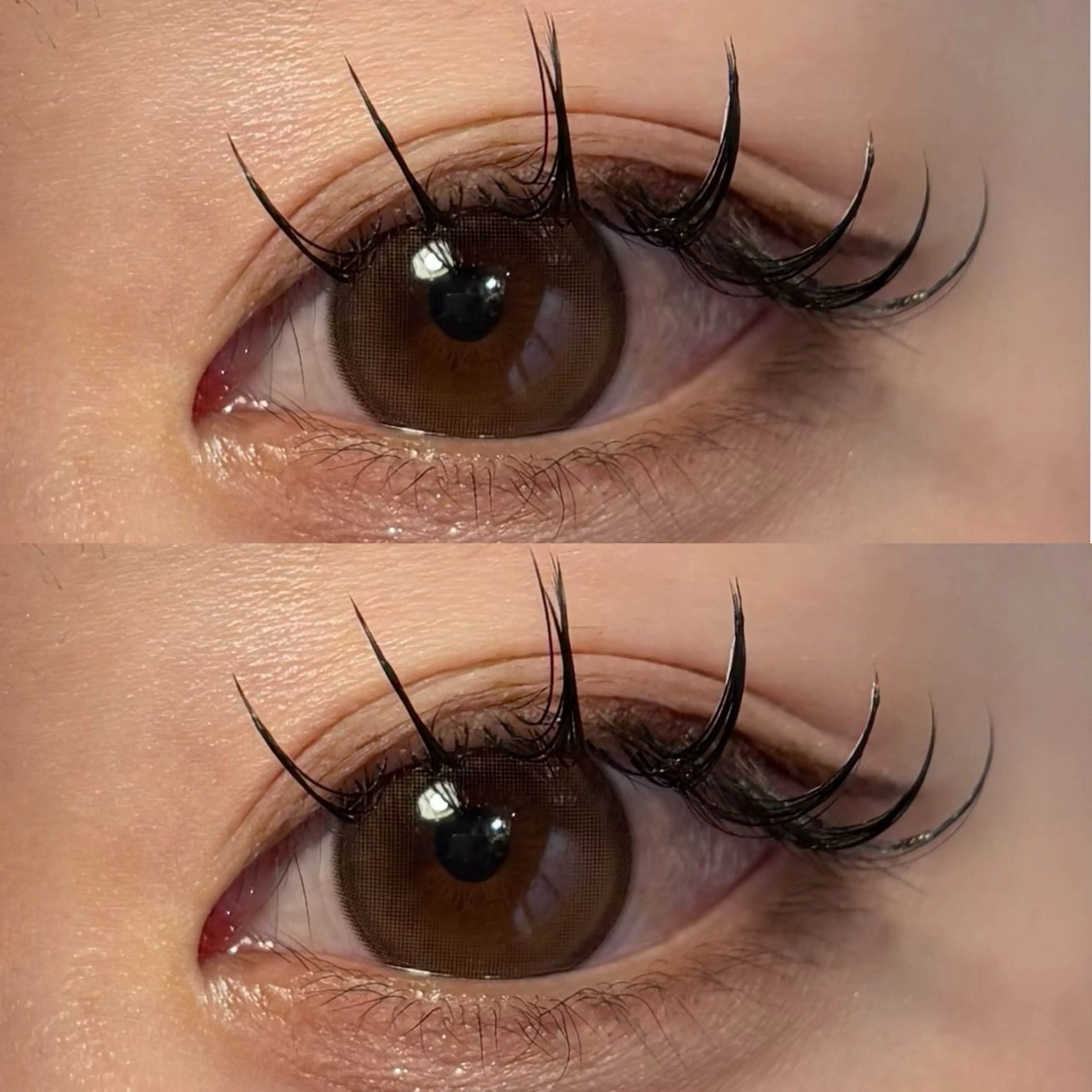 マツエク・マツパ CCカール Cカール フラットラッシュ マツエク 🍇chinatsu 🍇en Rêveのマツエク・マツパデザイン