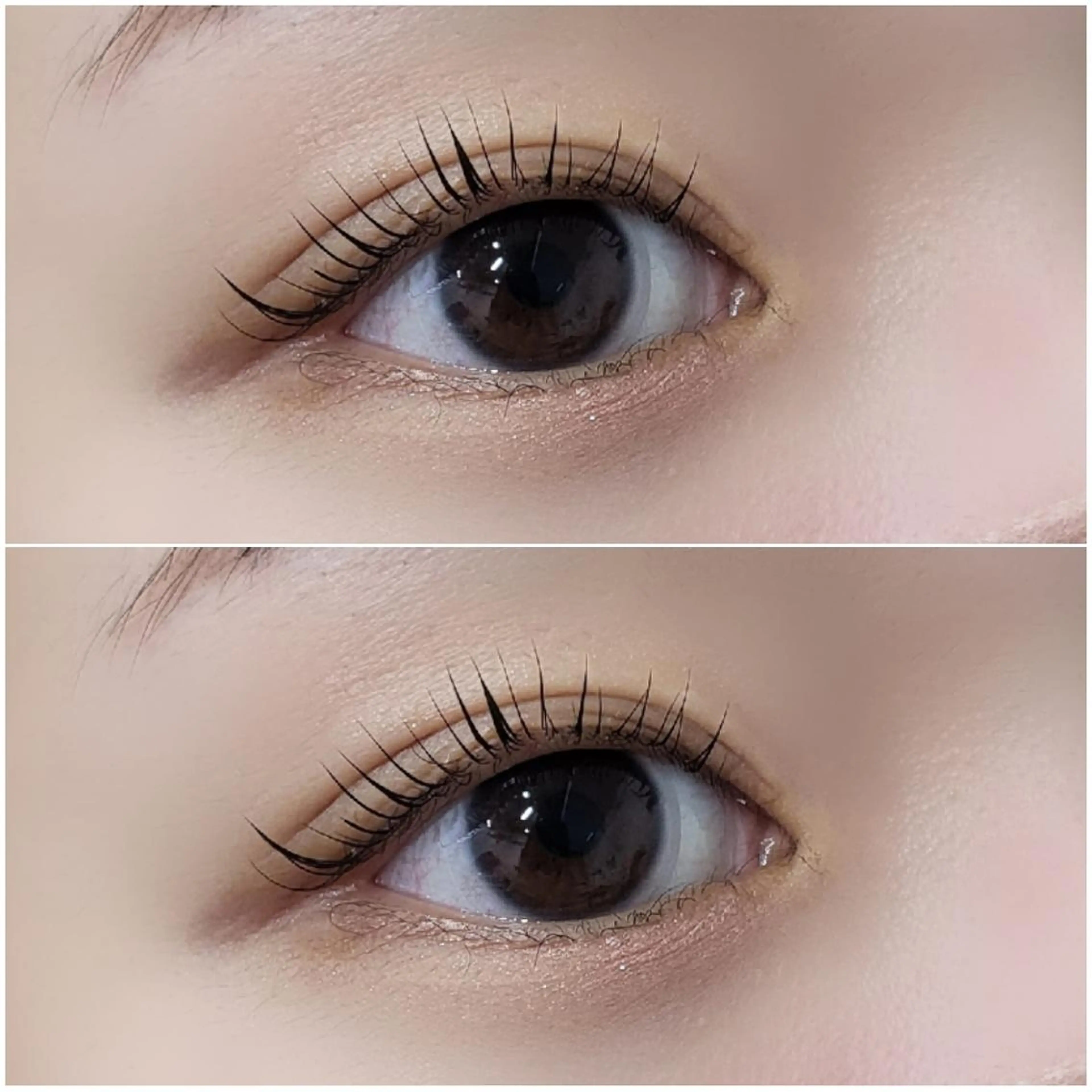 マツエク・マツパ Lカール ナチュラル マツパ Re'VIELISS 🦋Manaの眉毛・アイブロウイメージ