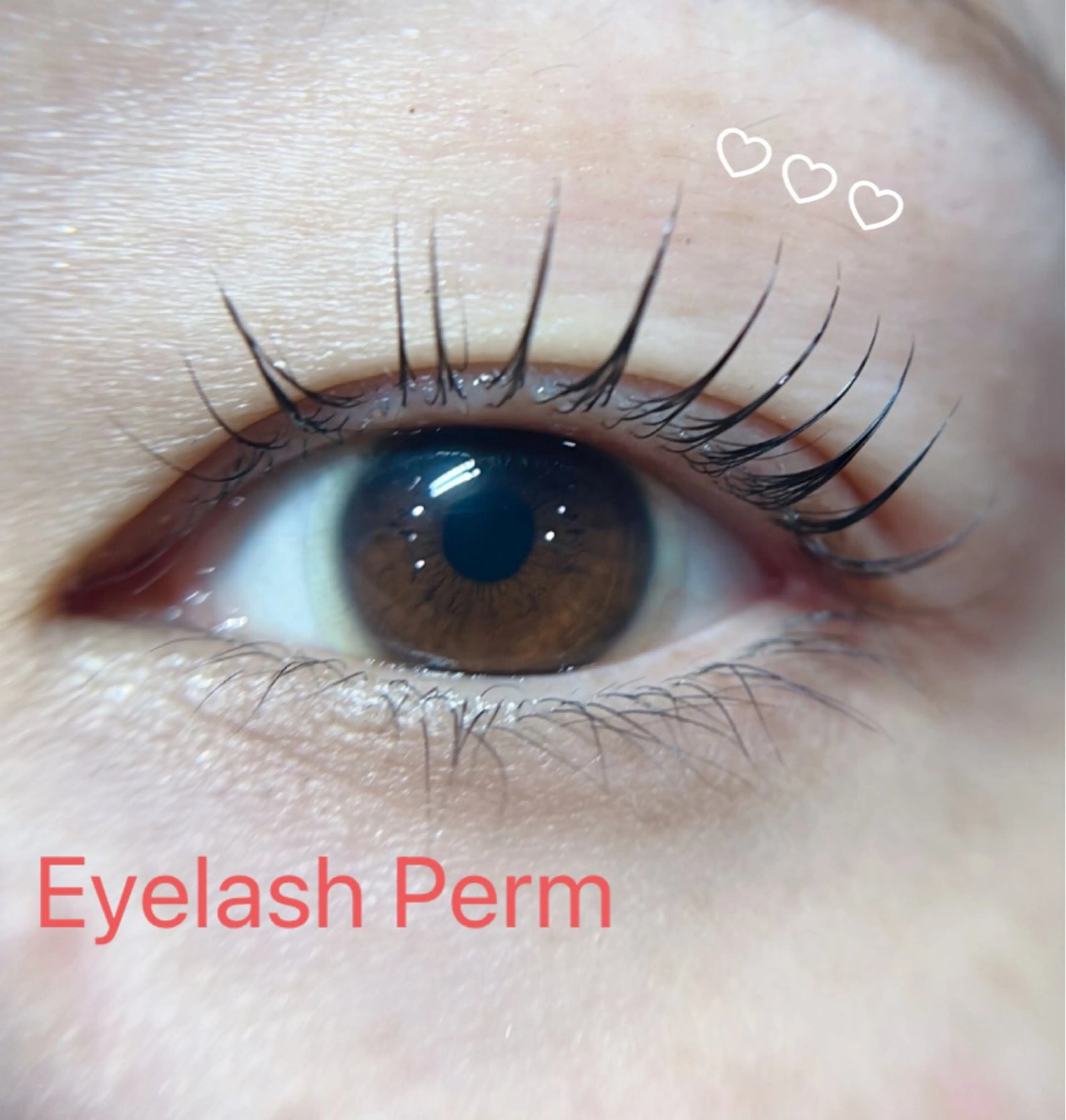 マツエク・マツパ まつげパーマ 一重×まつ毛パーマ 成増北口PRADE saiのマツエク・マツパデザイン