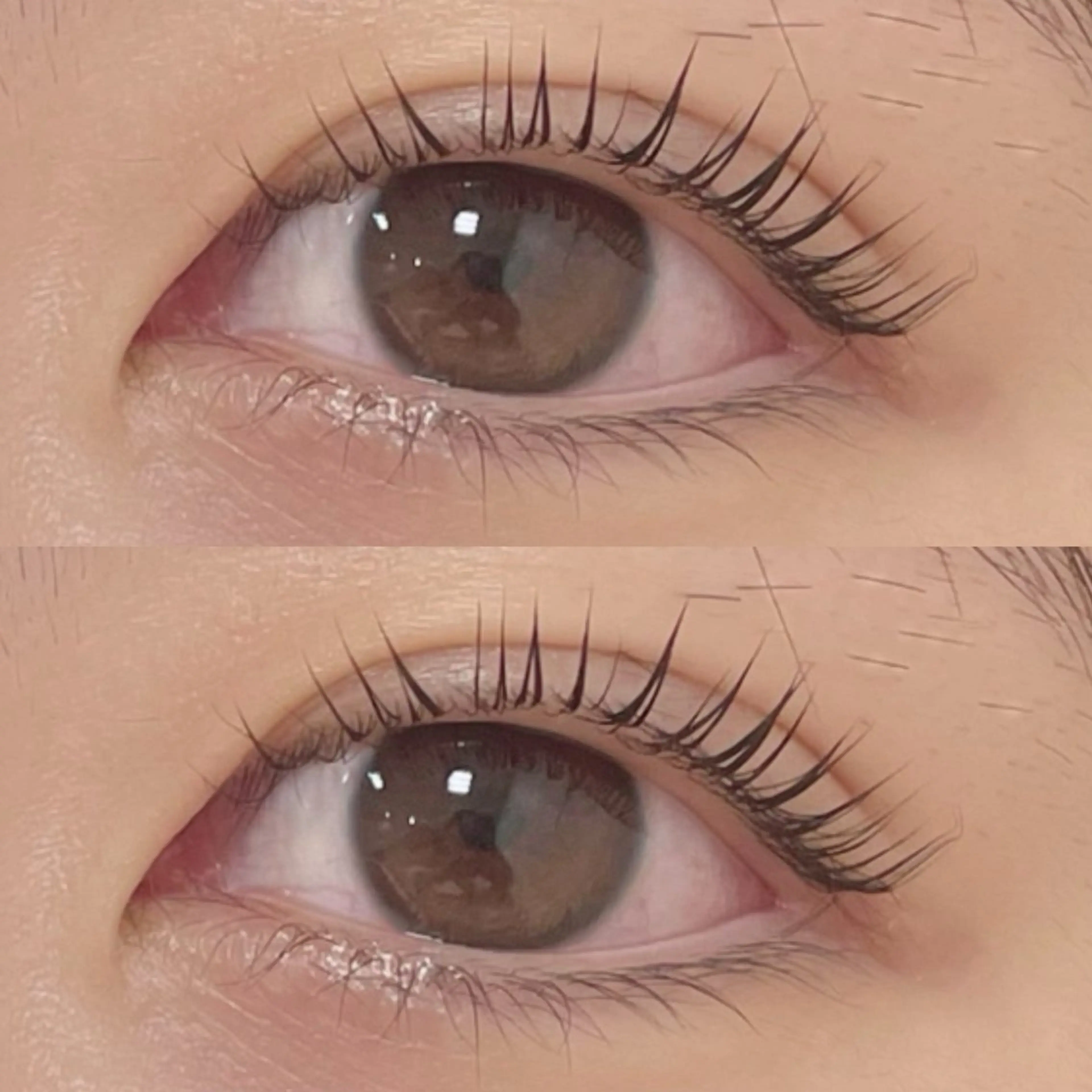 マツエク・マツパ パリジェンヌラッシュリフト REJOUIR 🎀 莉央の眉毛・アイブロウイメージ