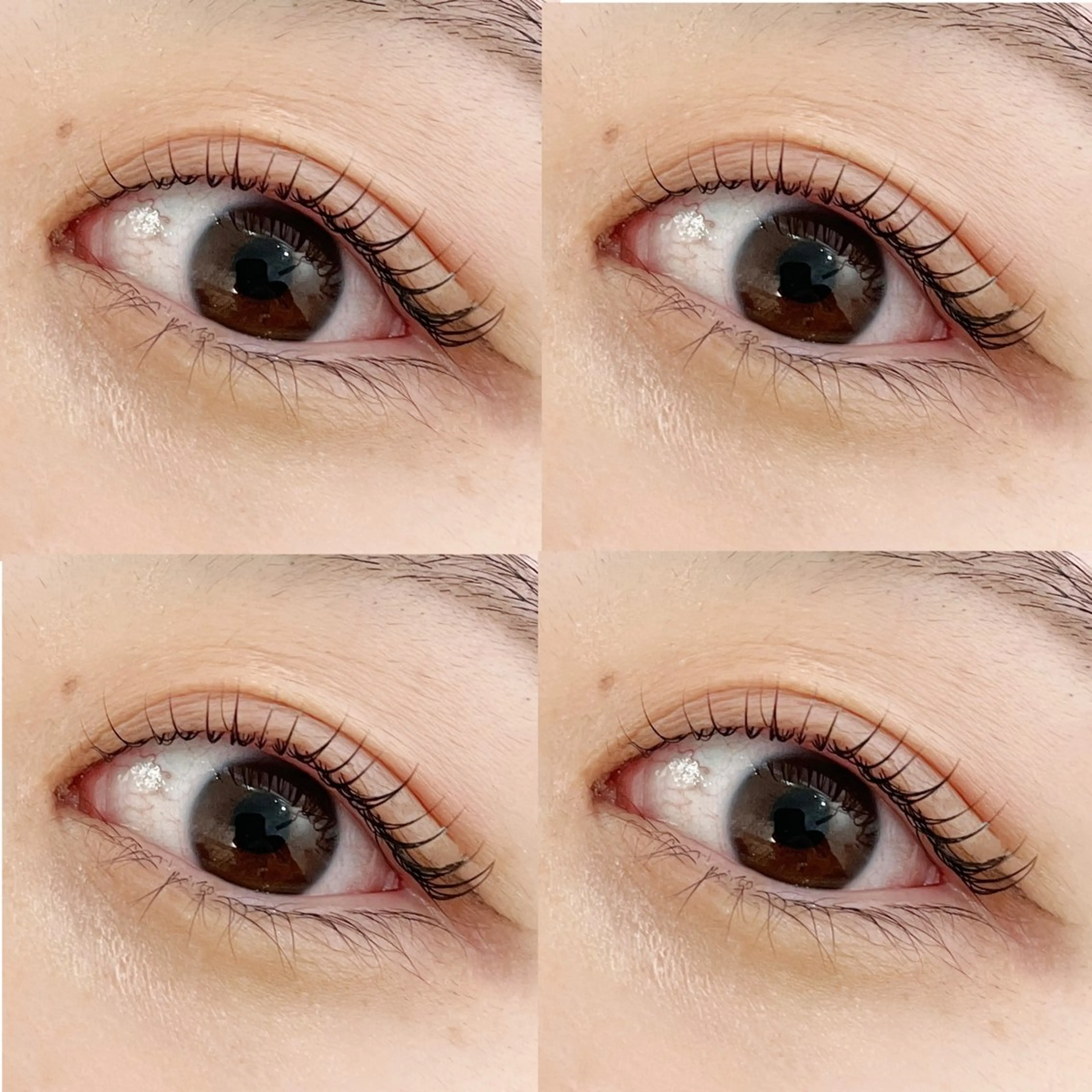 マツエク・マツパ ケラチンラッシュリフト 下北沢🩰 YUKIKO ☆のマツエク・マツパデザイン