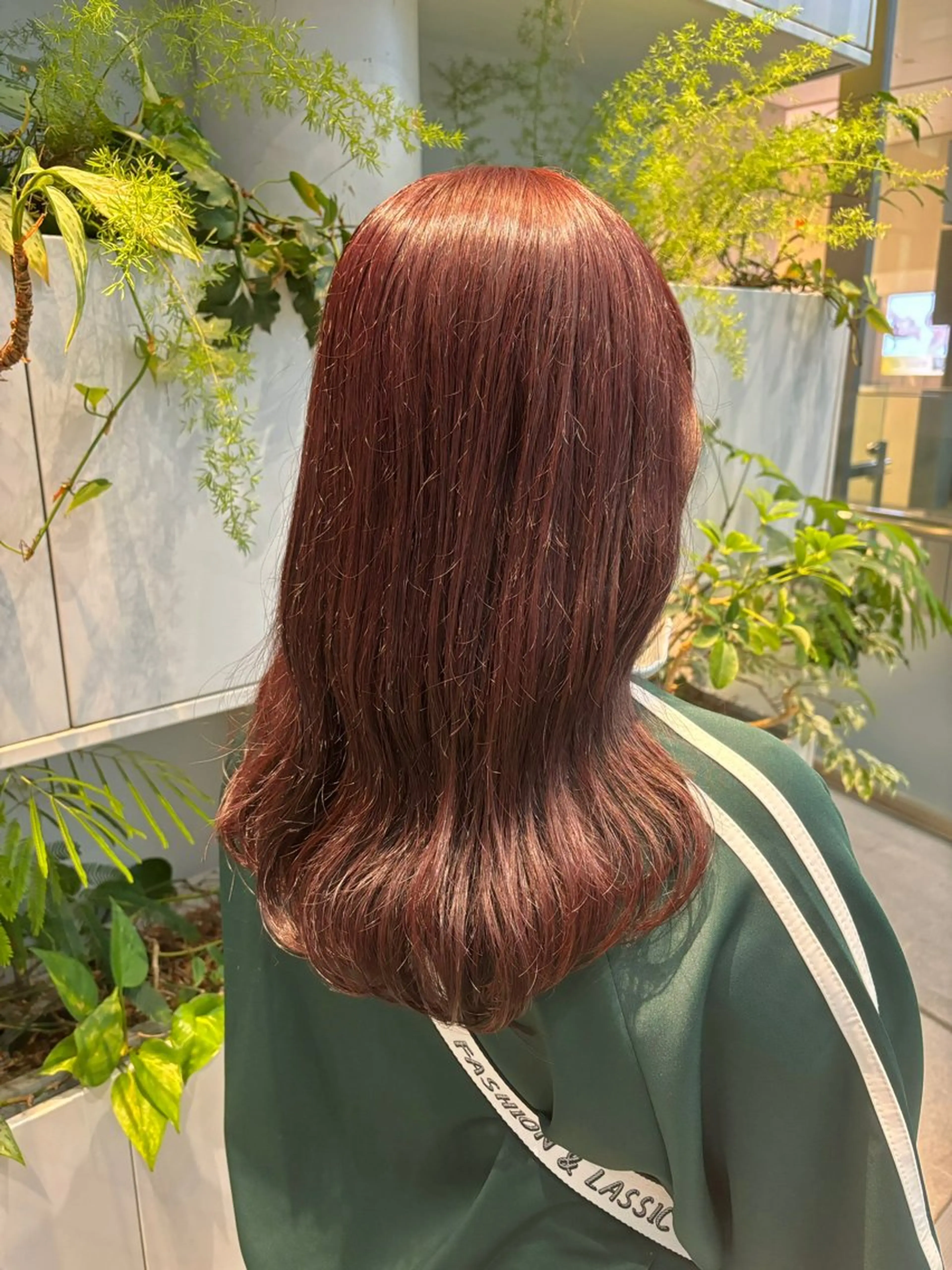 セミロング カラー カシス ピンクカラー くさかみさき🌼暖色 /耳つぼ/オタク🌼のヘアスタイル