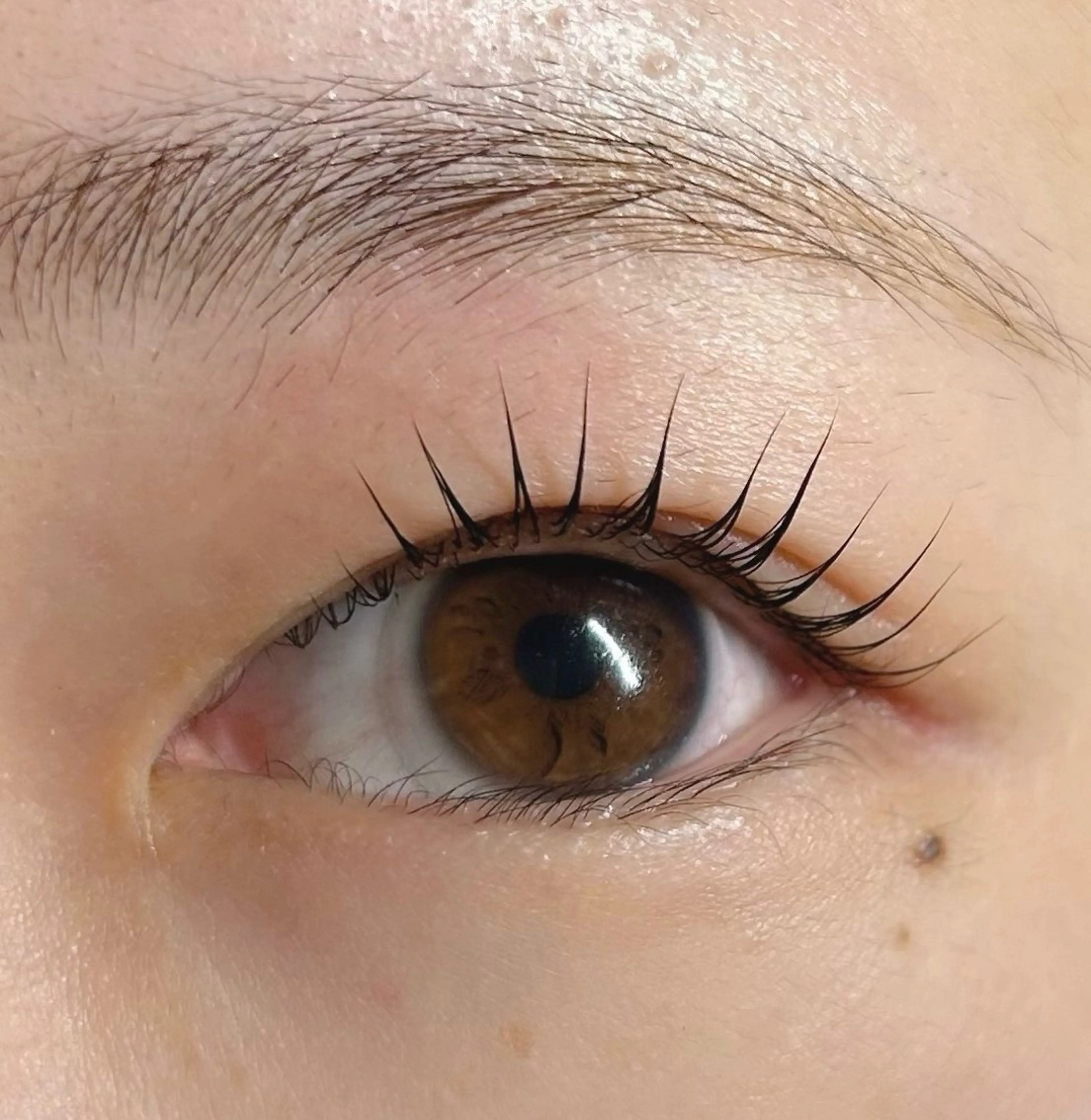 マツエク・マツパ Rise 🎀のマツエク・マツパデザイン