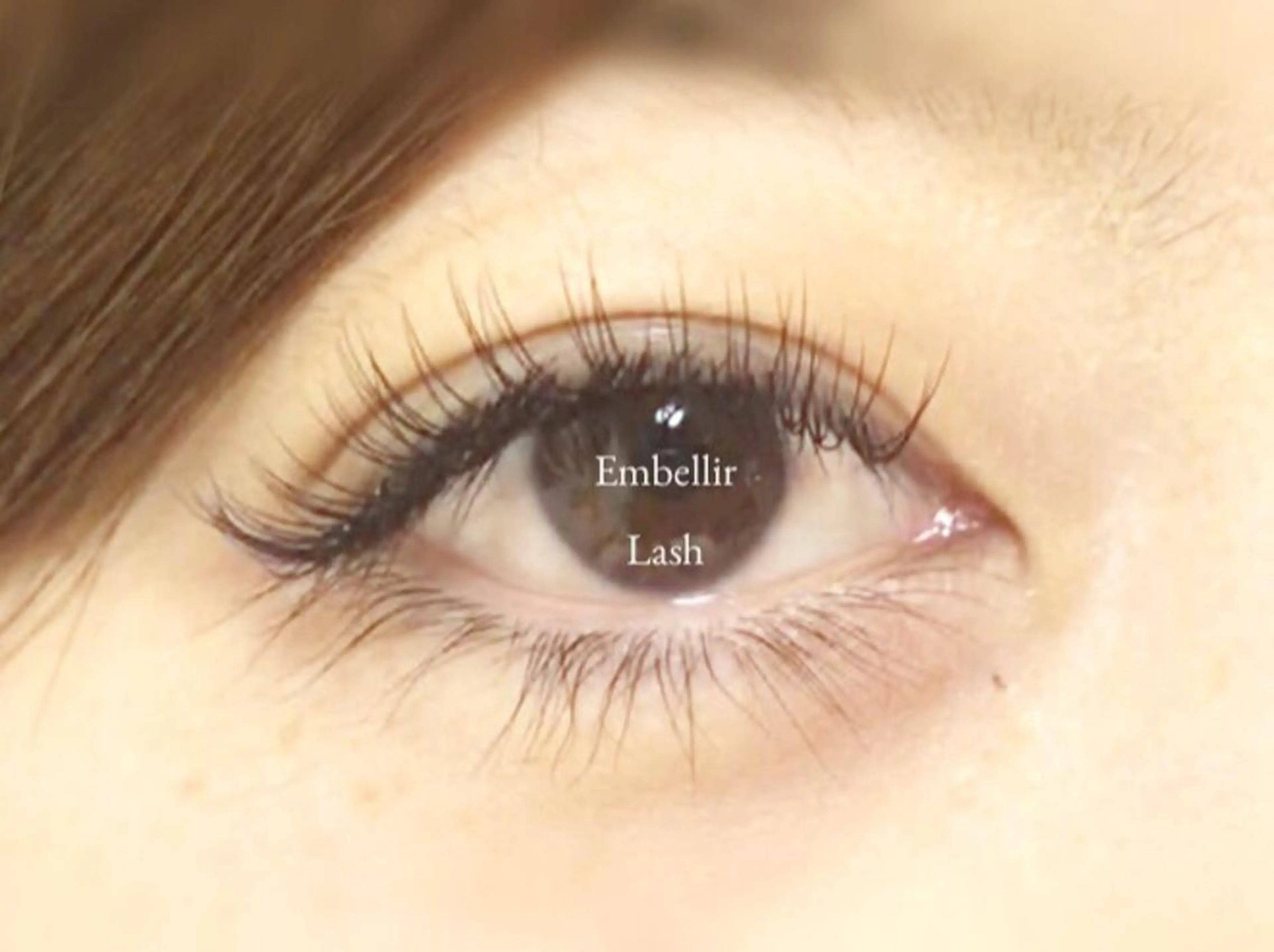 マツエク・マツパ まつエク・パーマ アンベリイルラッシュのマツエク・マツパデザイン