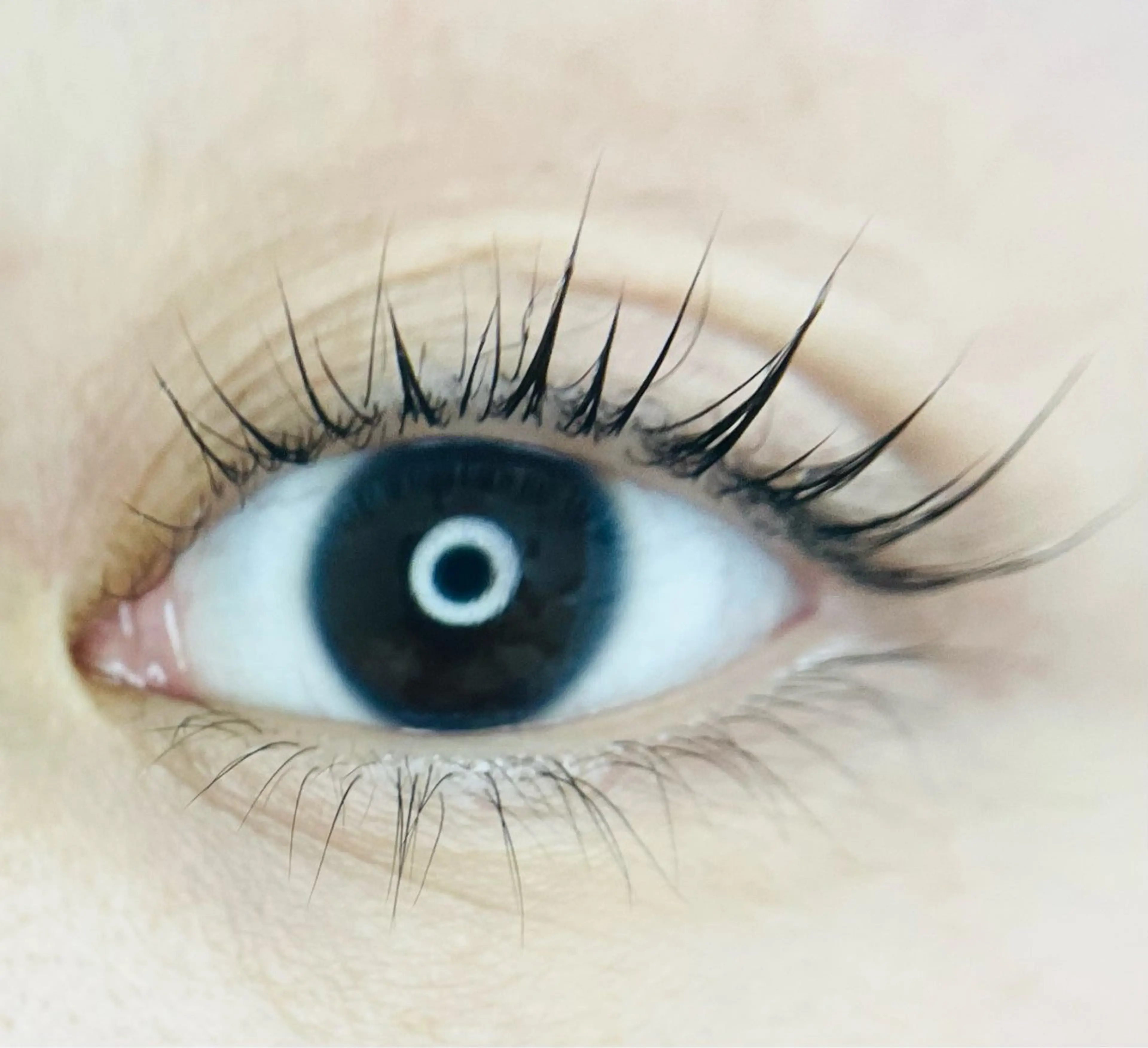 マツエク・マツパ L🎀リアン サロンのマツエク・マツパデザイン