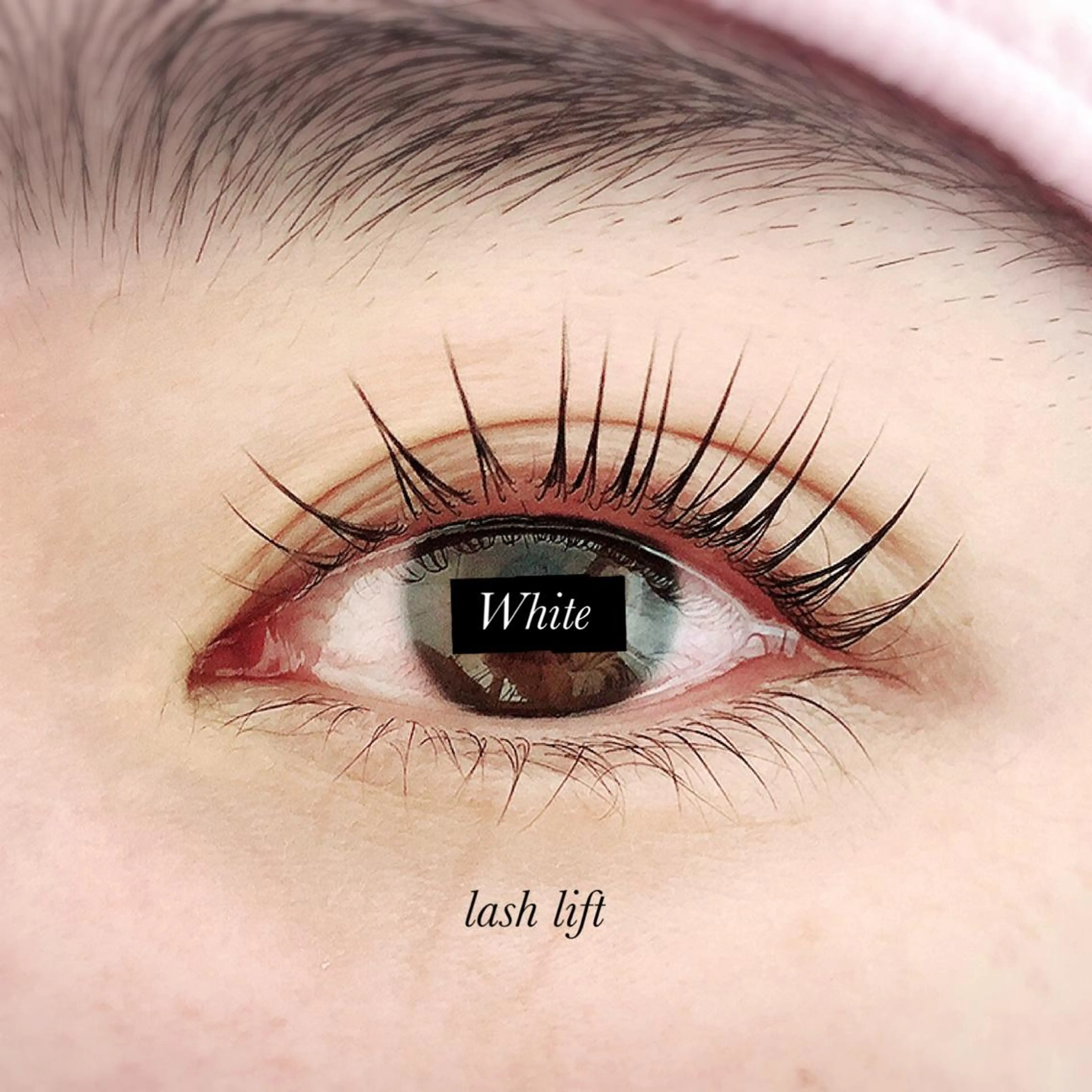 🩵 ご新規様限定 🩵 次世代まつ毛カール 上のみ 💎 ¥5000 🩵 オフ込、コーティング付♩の写真