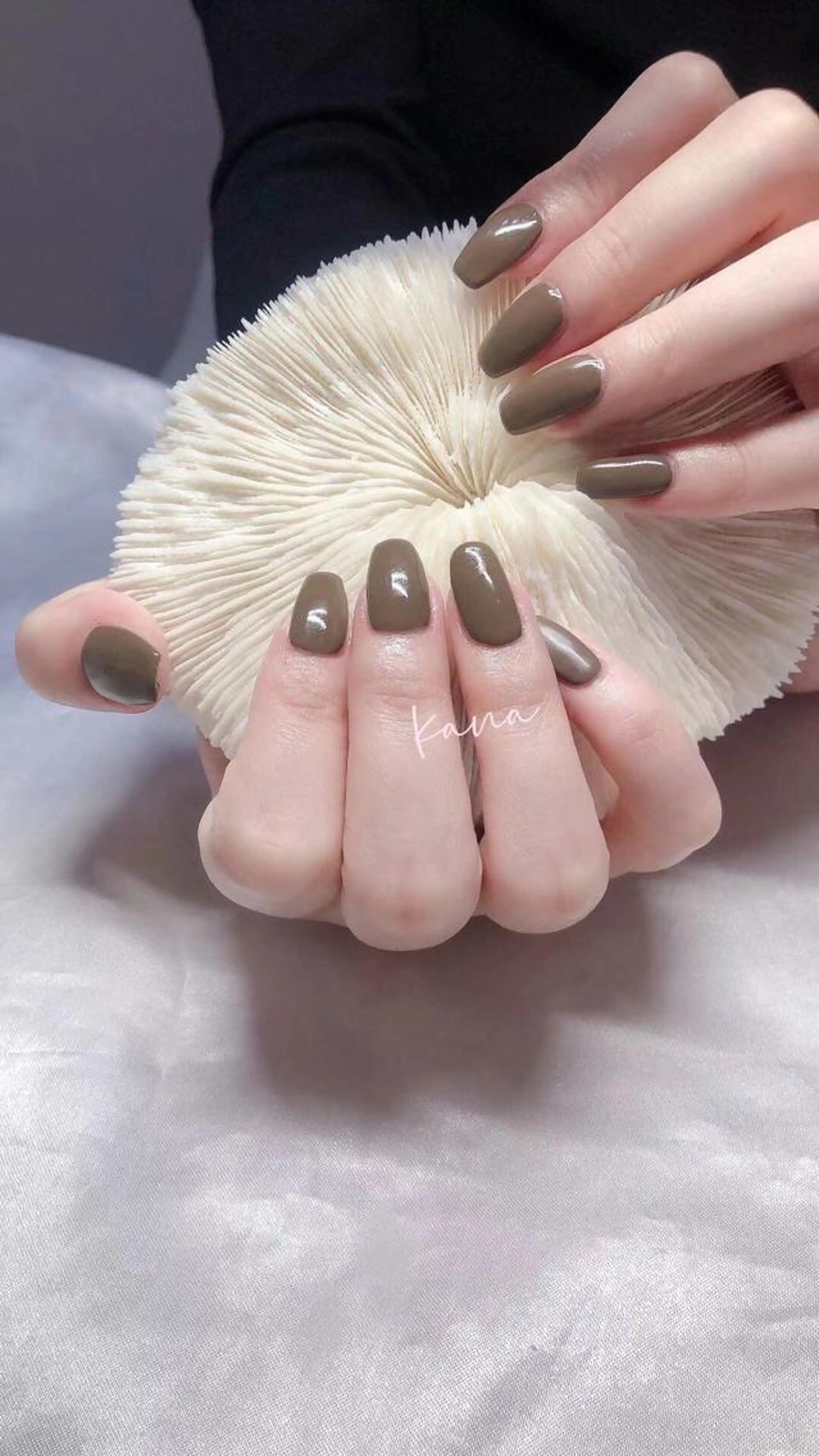 ハンドワンカラー【オフなし】の写真