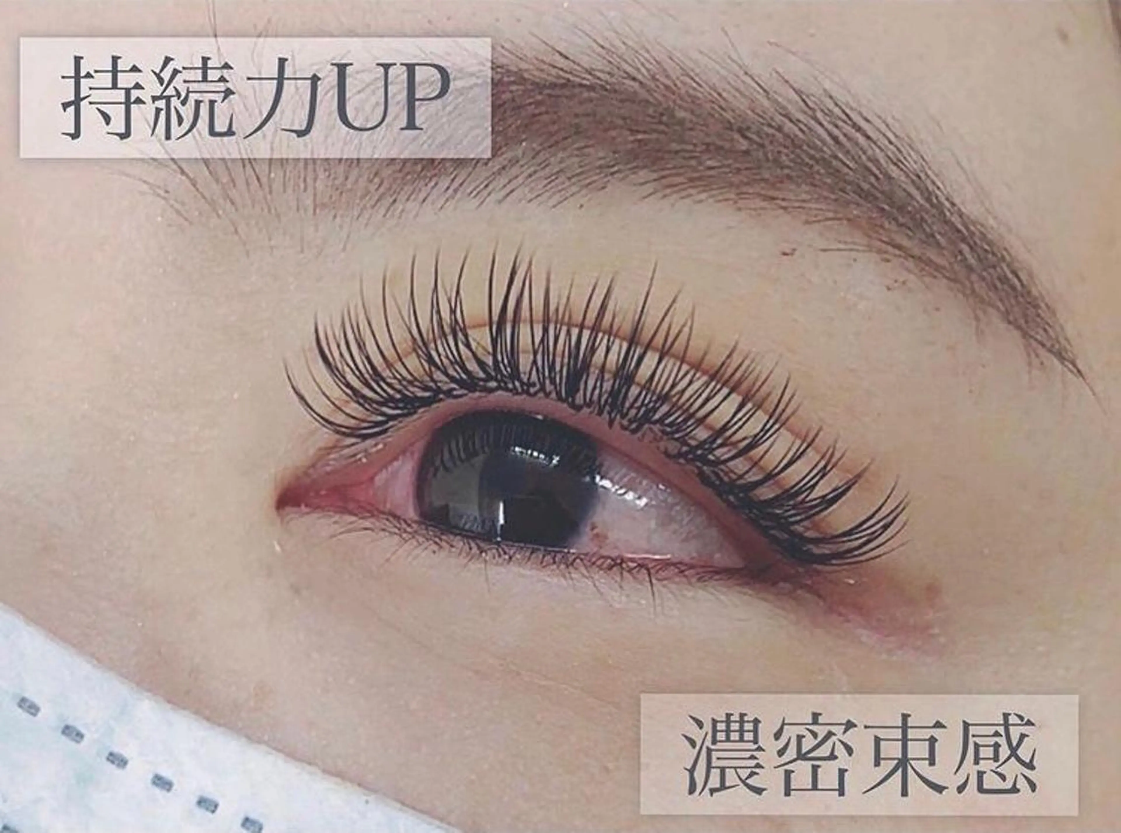 マツエク・マツパ Plume 逢坂のマツエク・マツパデザイン