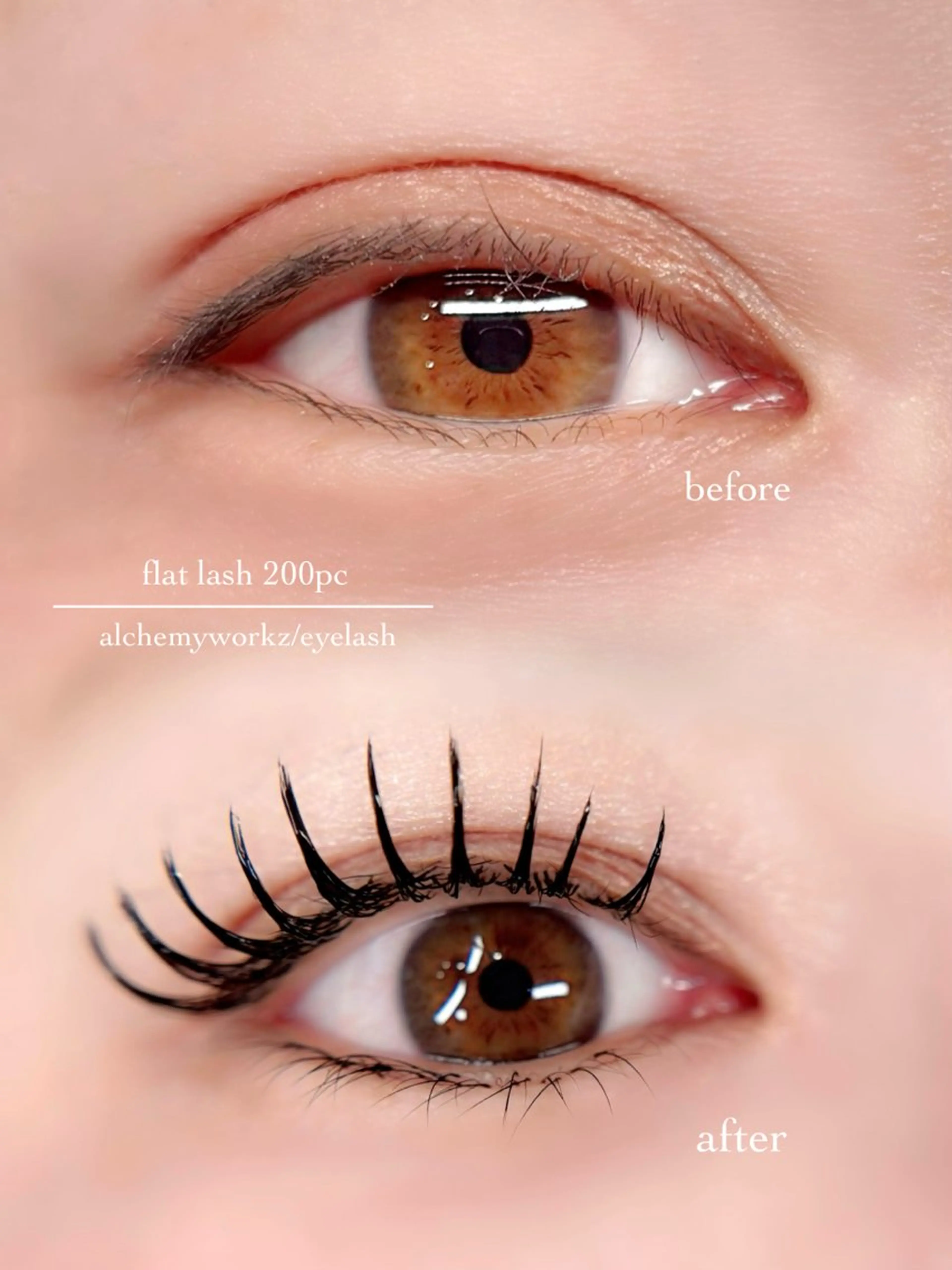 マツエク・マツパ マツエク alchemy workzのマツエク・マツパデザイン